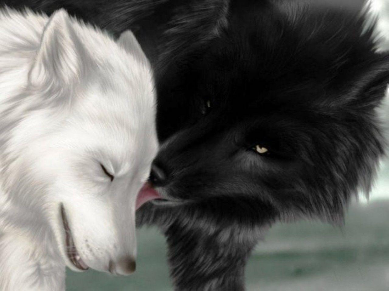 1280x960 White Wolf Wallpaper Anime