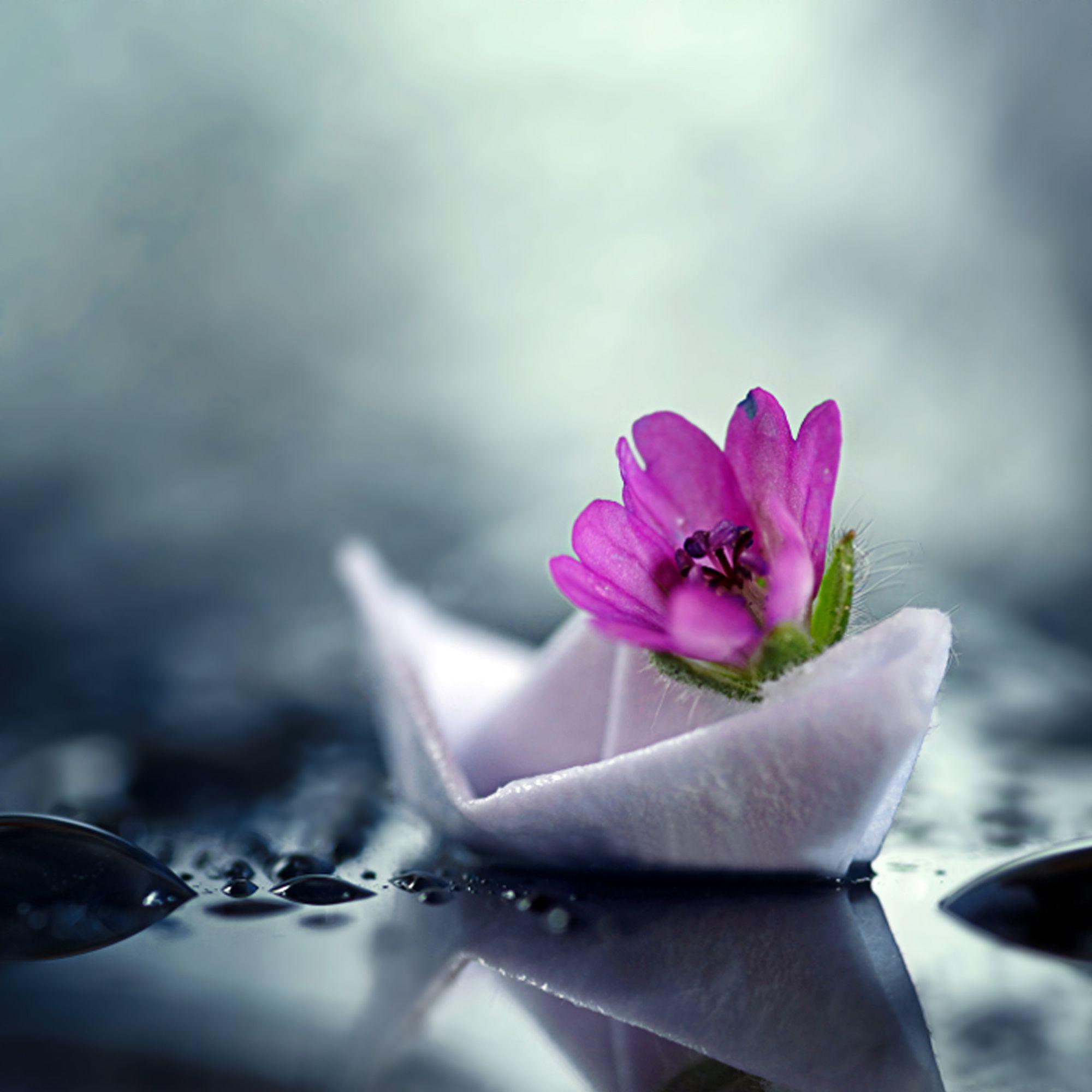 2000x2000 Wallpaper. Beautiful picture. photo. picture. paper boat