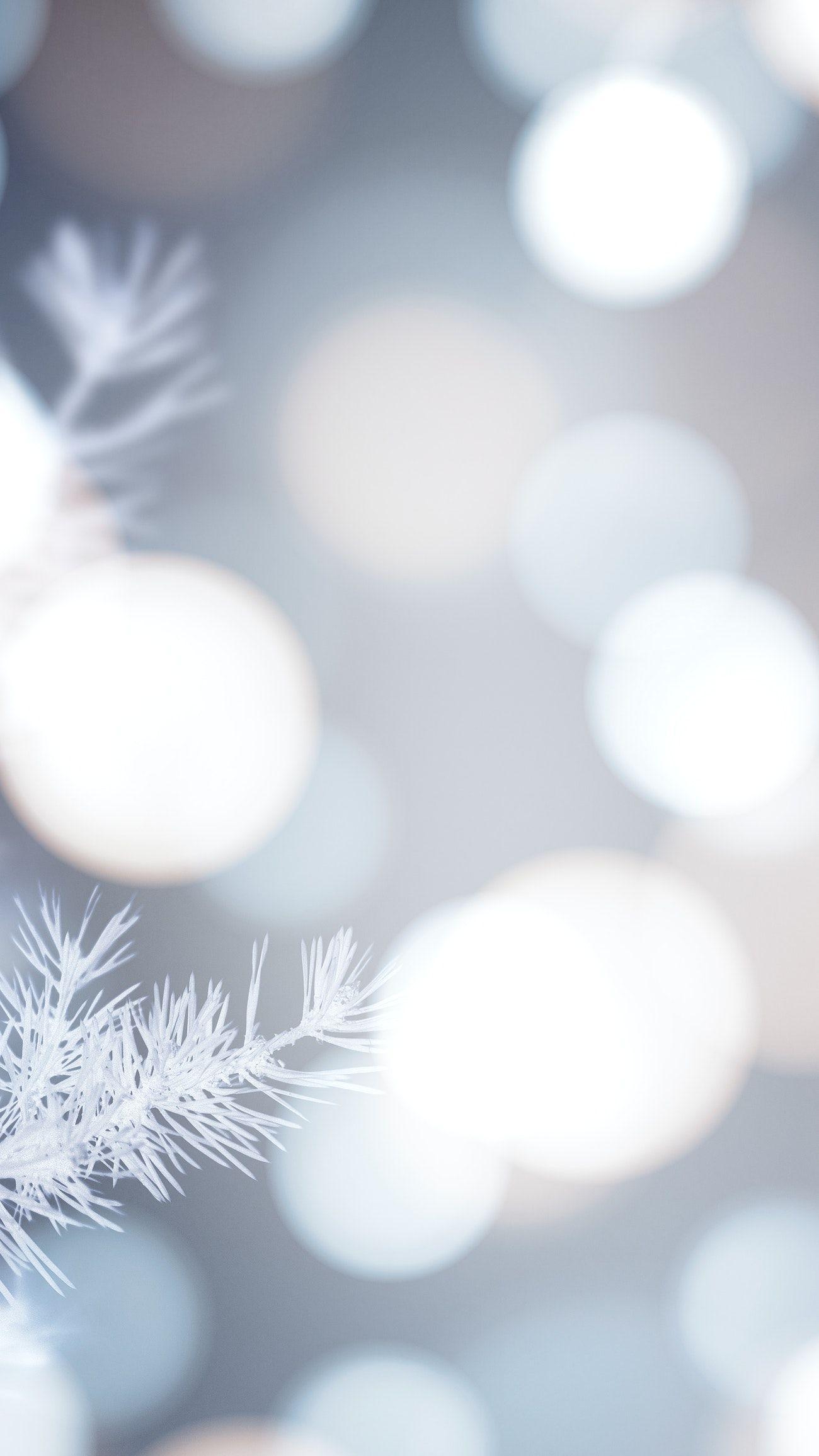 1300x2311 Frosty blurred winter background. Royalty free photo