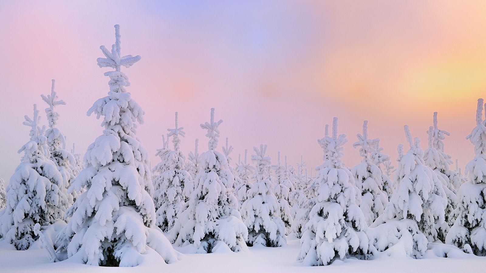 1600x900 Aesthetics Winter Wallpaper
