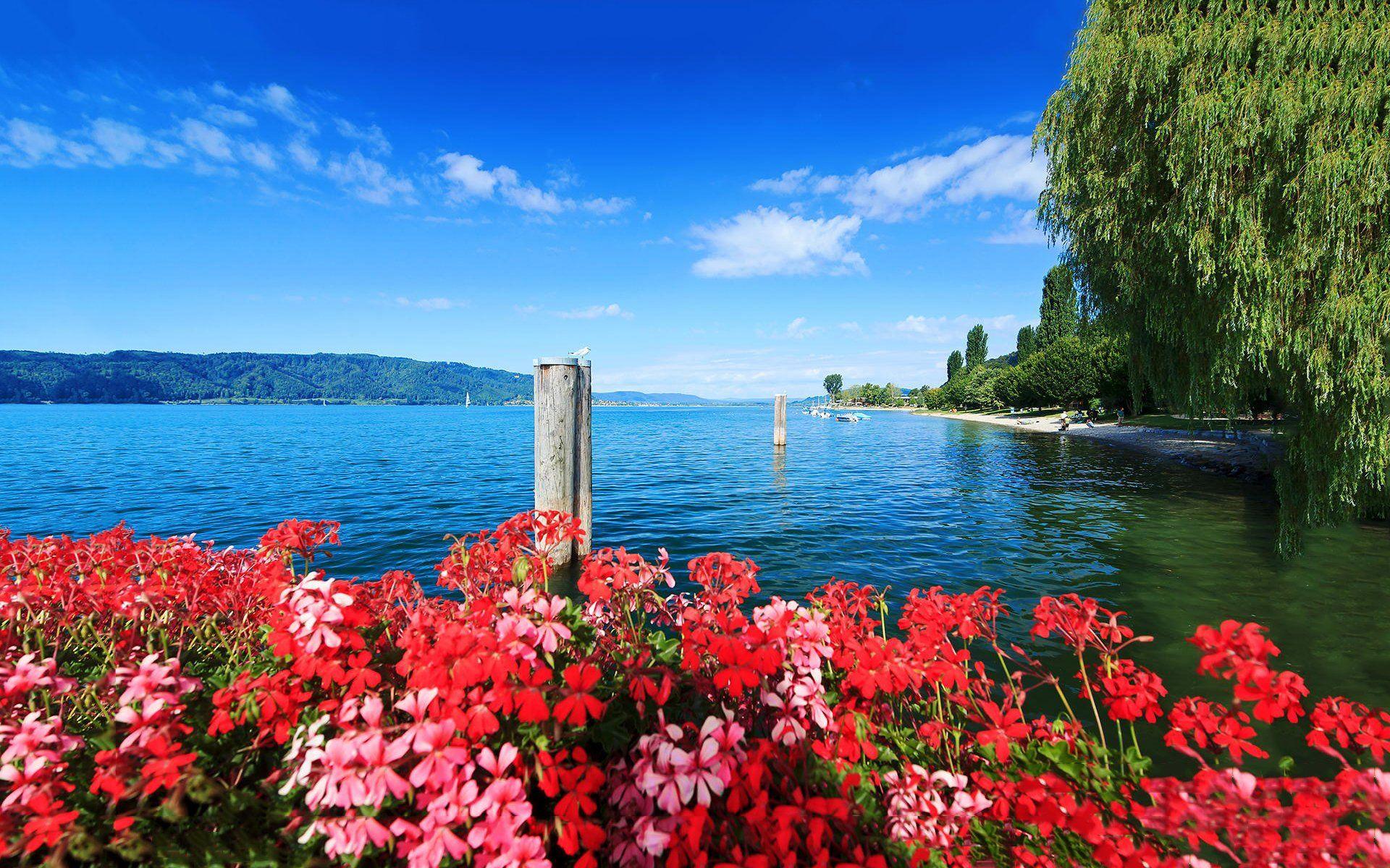 1920x1200 summer, Sea, Beach, Beauty, Nature, Flowers, Trees Wallpaper HD / Desktop and Mobile Background