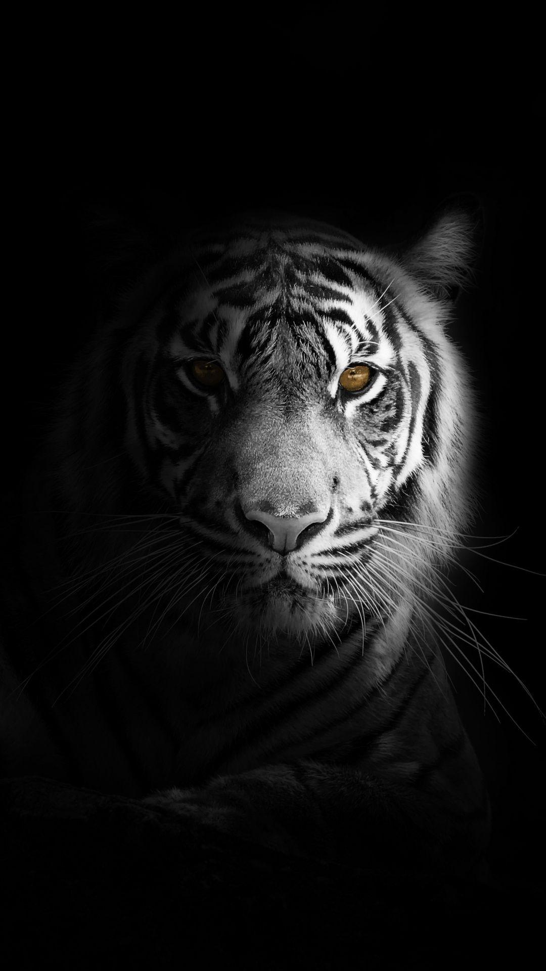 1080X1920 Portrait Wallpapers Top Free 1080X1920