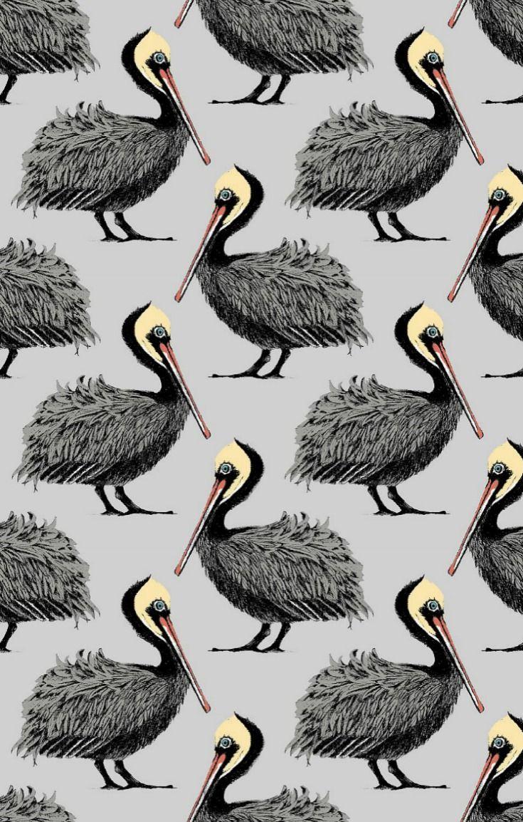 735x1154 Pelican By Petronella Hall WG. Quirky