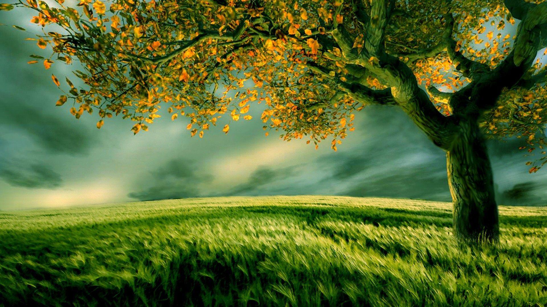 1920x1080 Nature Wallpaper With Quotes. Nature, Nature wallpaper, Going to rain