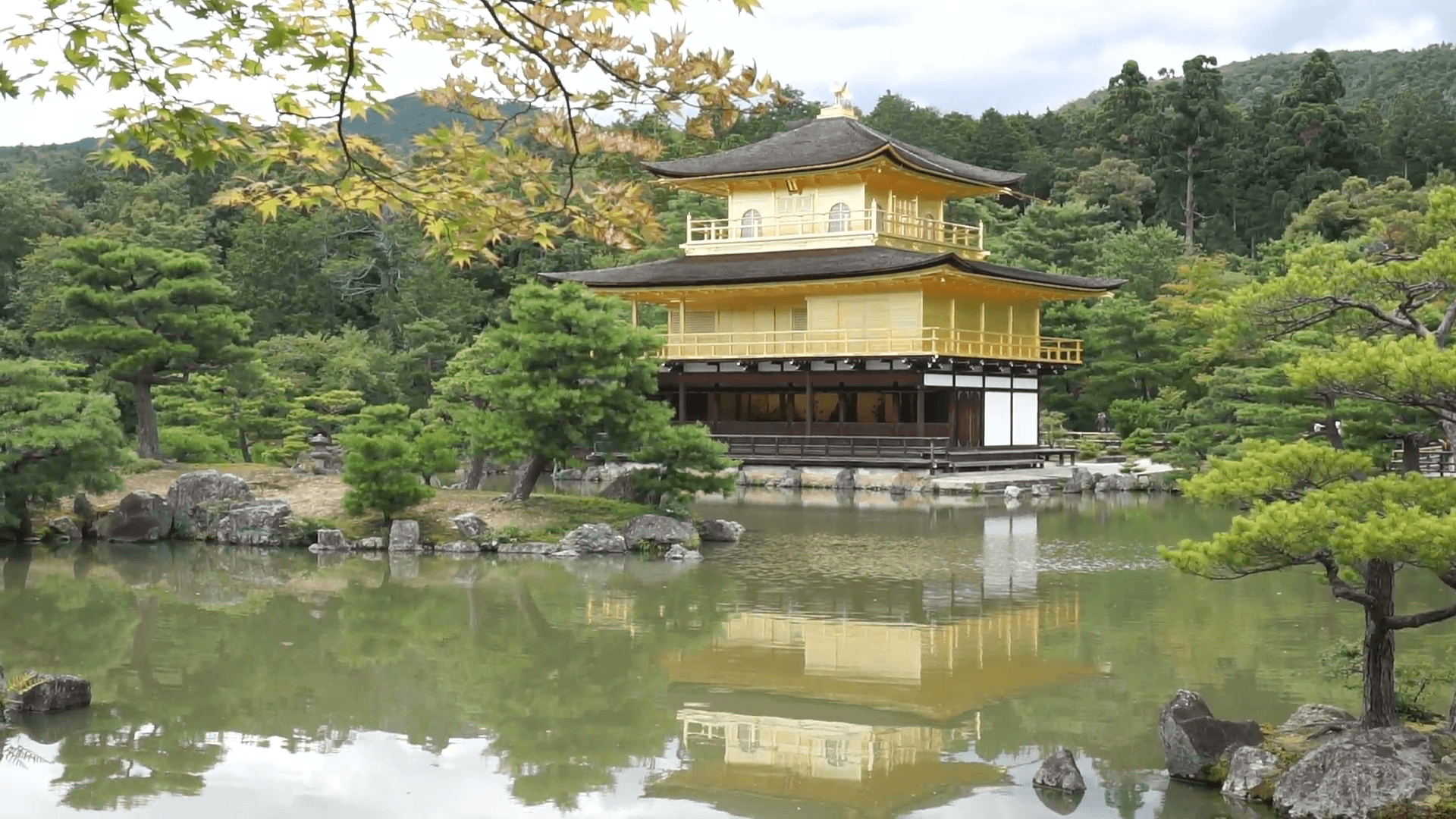 1920x1080 Golden Temple, Kyoto, Japan, Asia Stock Video Footage