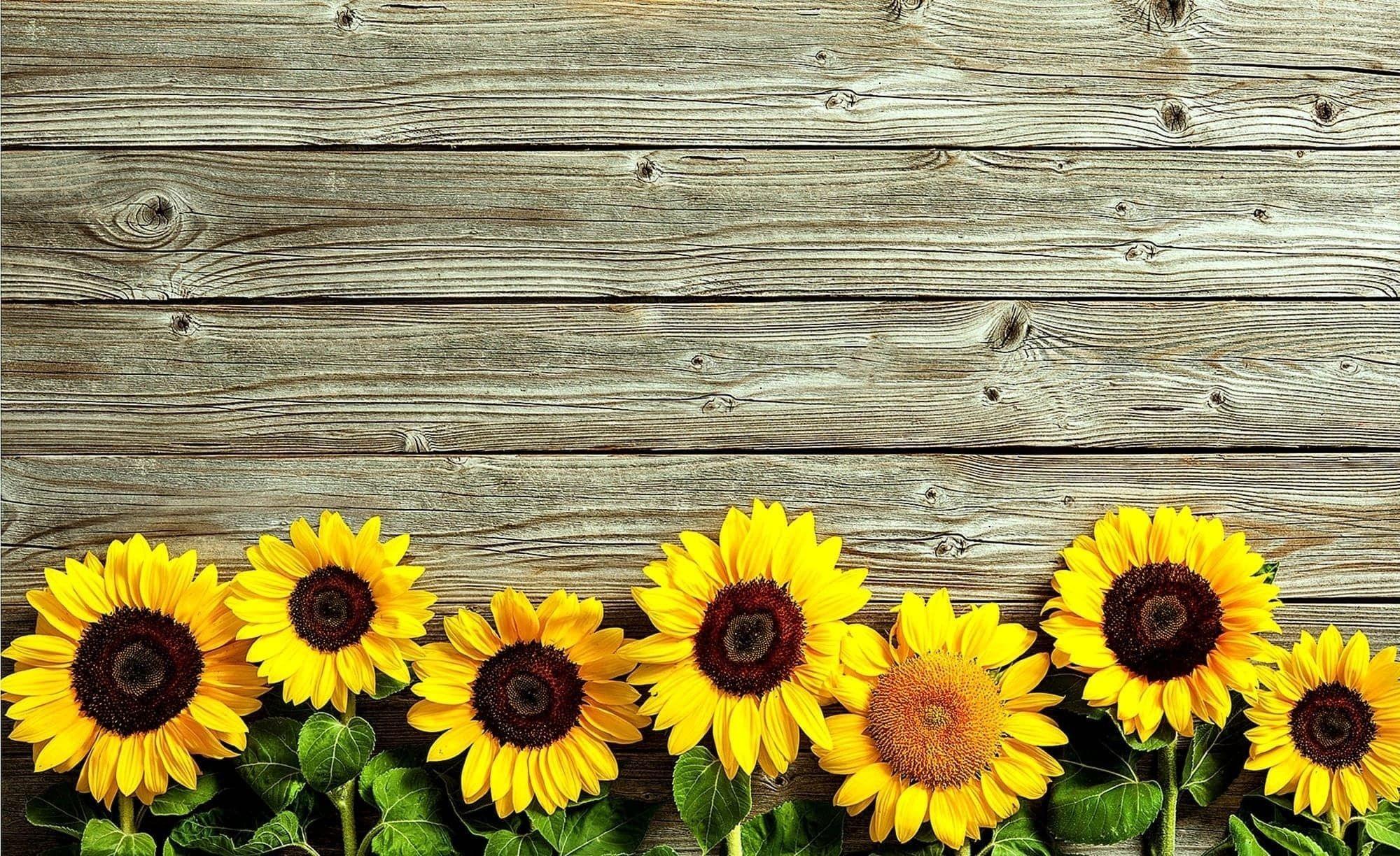 Rustic Sunflower Wallpapers - Top Free Rustic Sunflower Backgrounds - WallpaperAccess