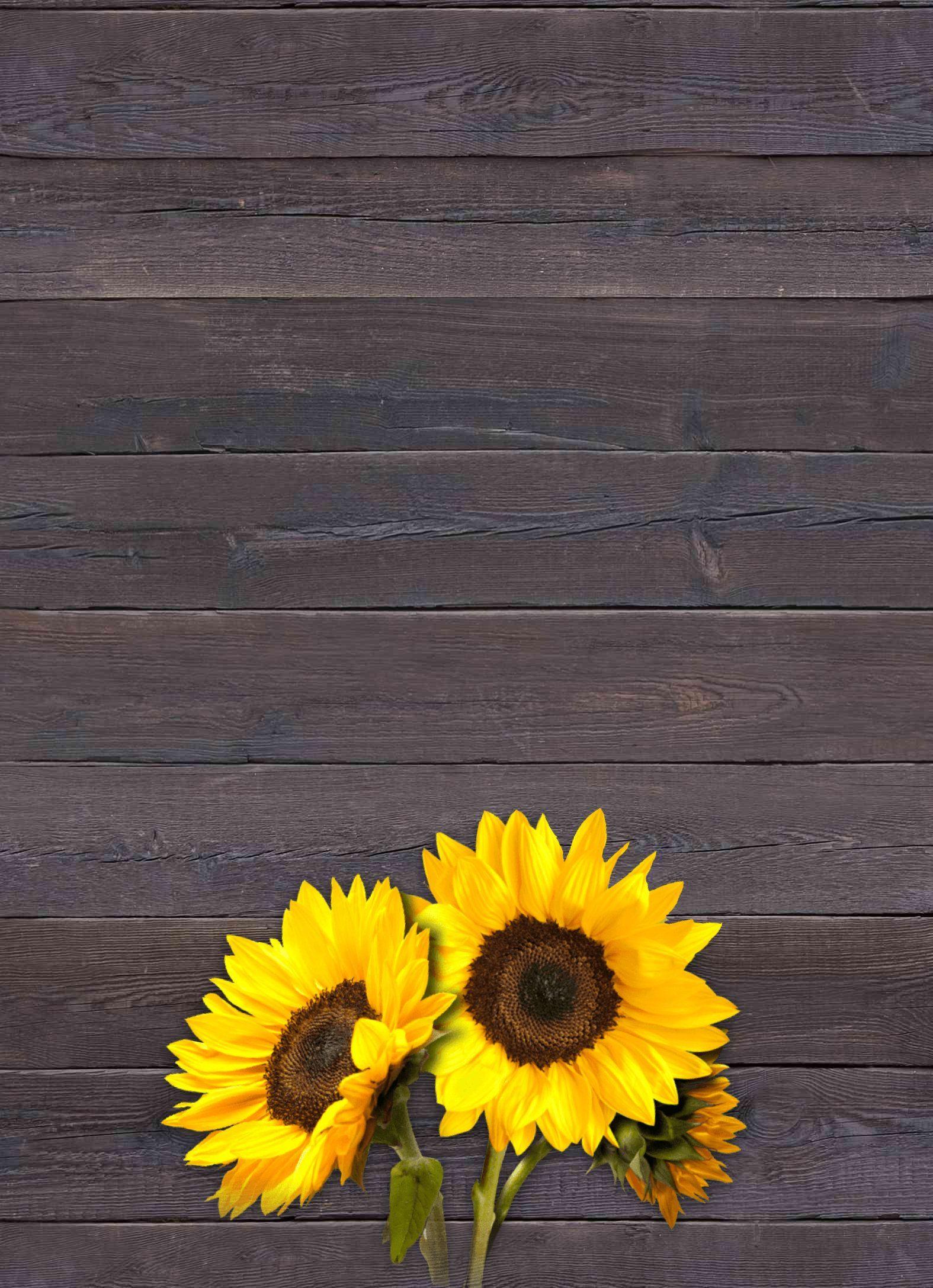 Rustic Sunflower Wallpapers - Top Free Rustic Sunflower Backgrounds