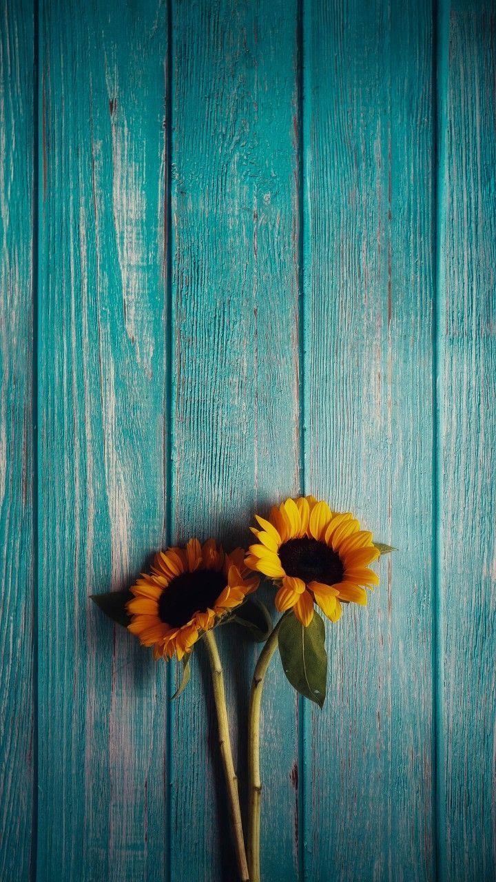 720x1280 Soumi #sunflowerwallpaper - redline vào năm 2020. Hình nền thiên nhiên iphone, Hình nền nền hoa, Hình nền iphone hướng dương