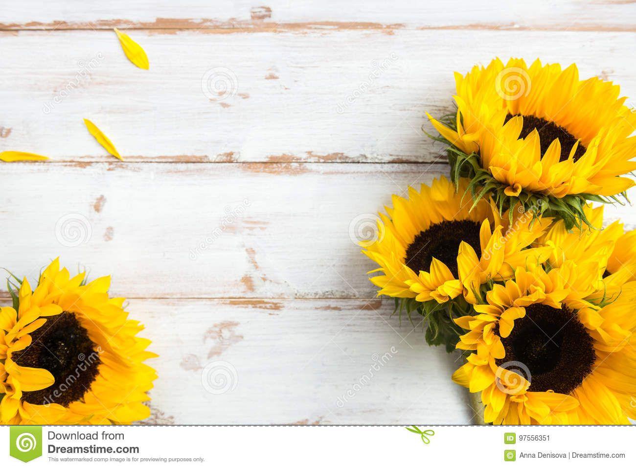 Rustic Sunflower Wallpapers - Top Free Rustic Sunflower Backgrounds
