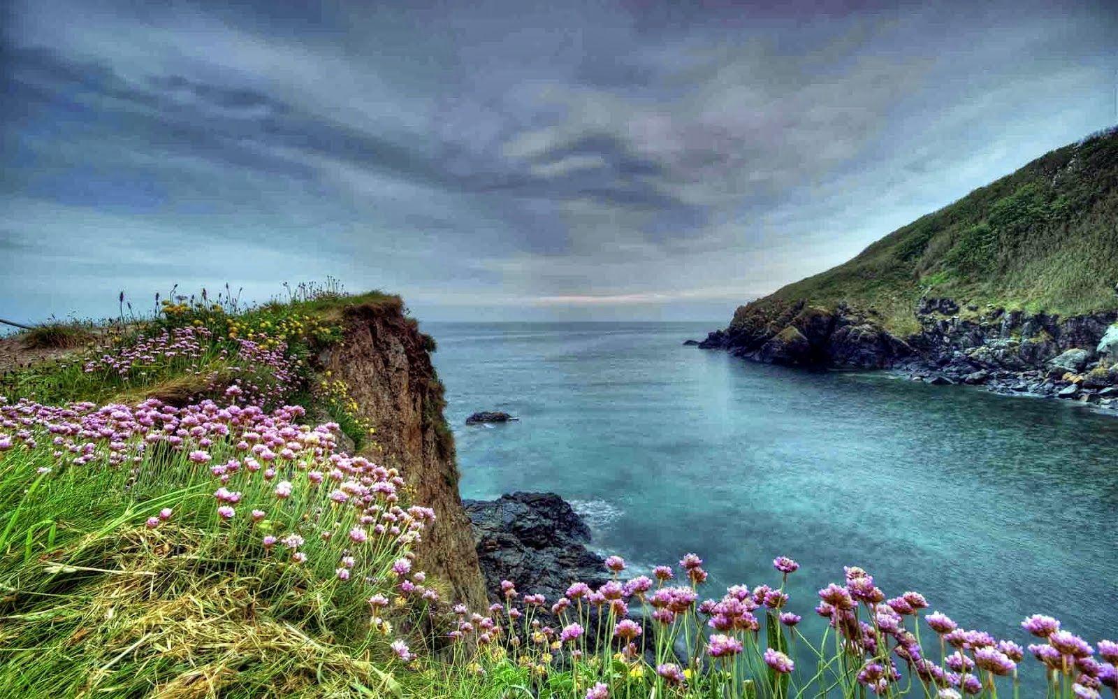 1600x1000 Beautiful HD wallpaper for desktop
