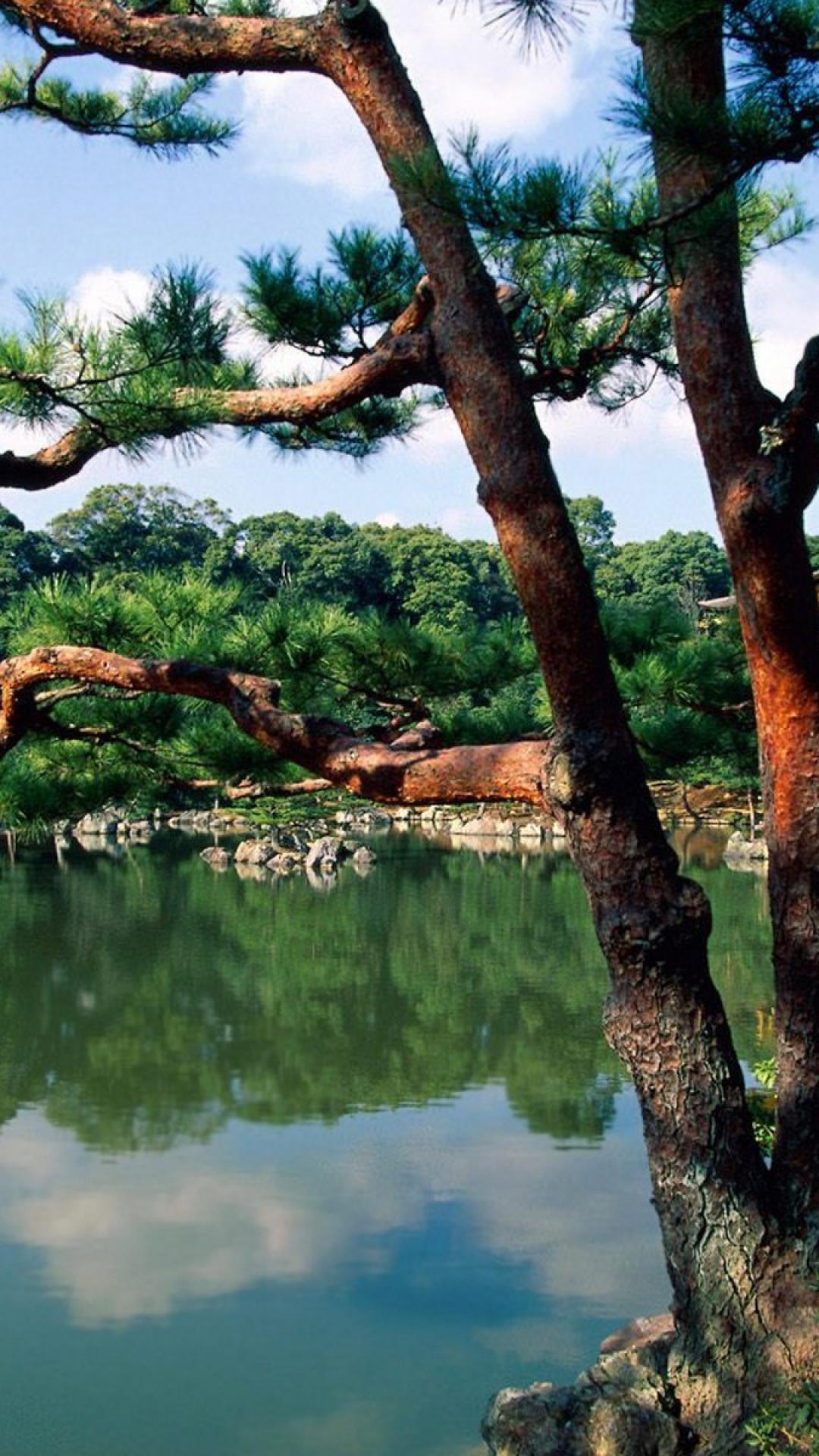 1080x1920 Japan trees flowers asian architecture lakes kinkakuji wallpaper