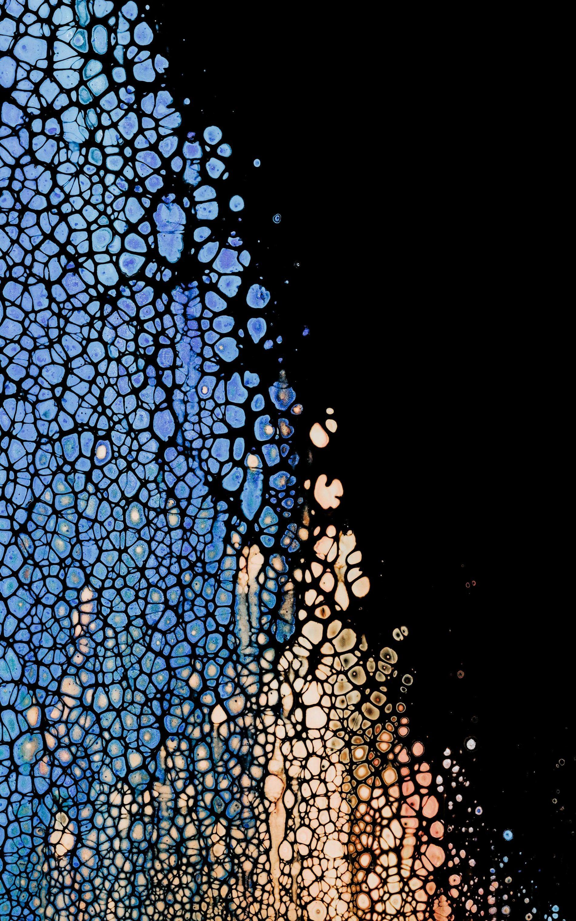 1900x3040 Free download True black and OLED optimized iPhone 11 Pro