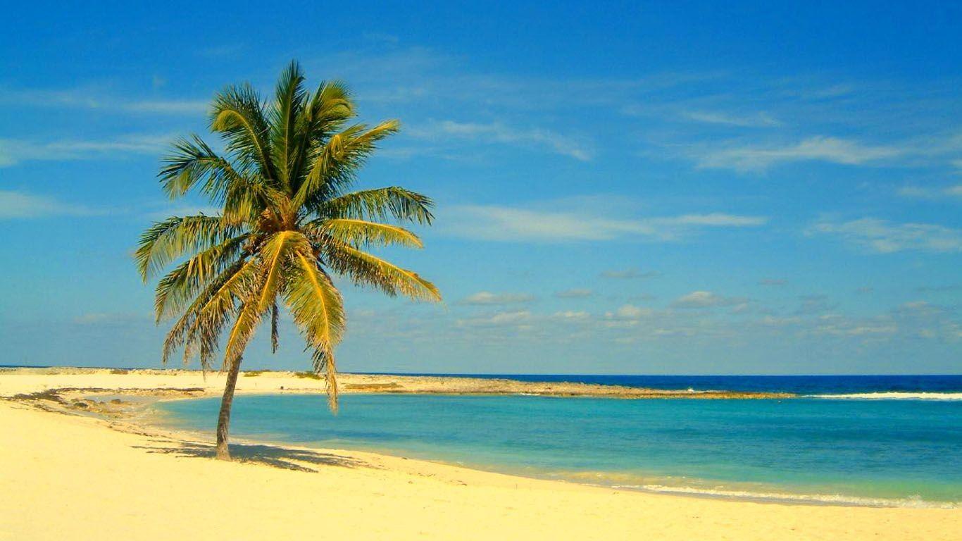 1366x768 Bahamas Tag wallpaper: Paradise Building Island Pond Bahamas Trees