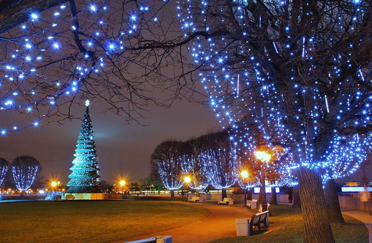 1280x835 Photos St. Petersburg Russia New year by Andrei Antipin Nature New