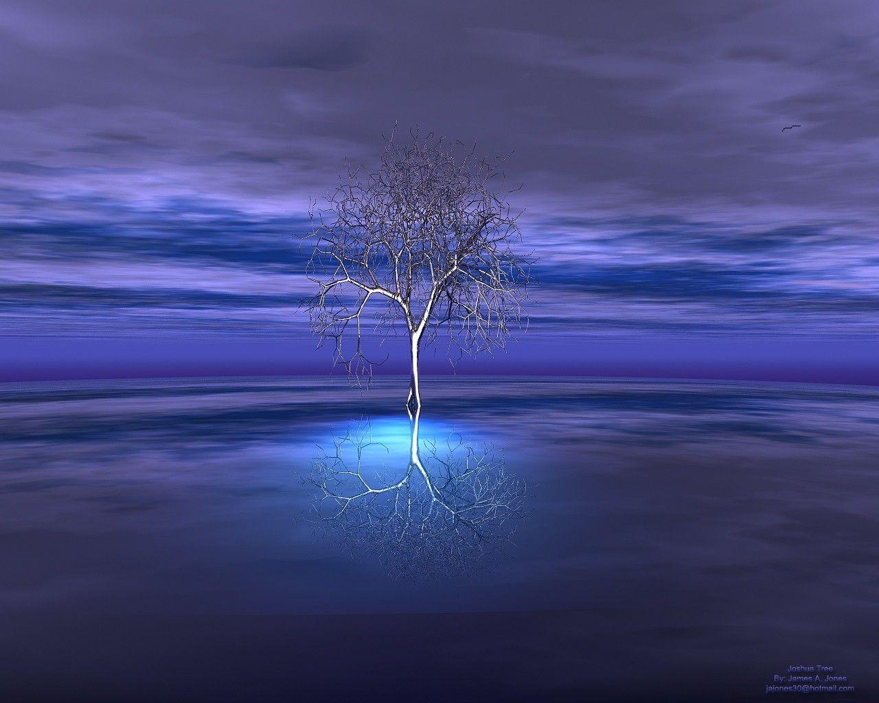 1280x1024 The Joshua Tree desktop PC and Mac wallpaper