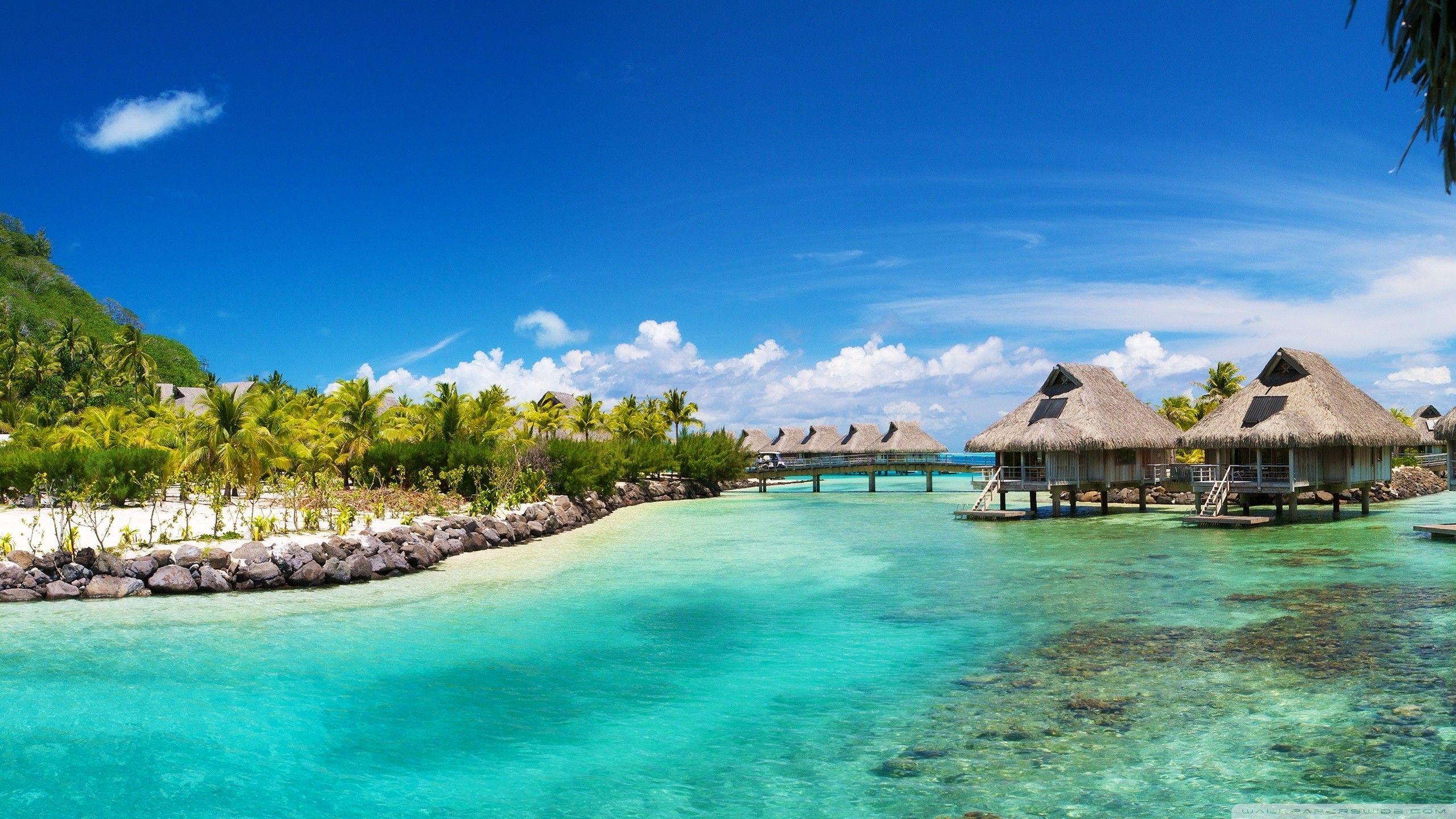 2560x1440 Bora Bora Wallpaper