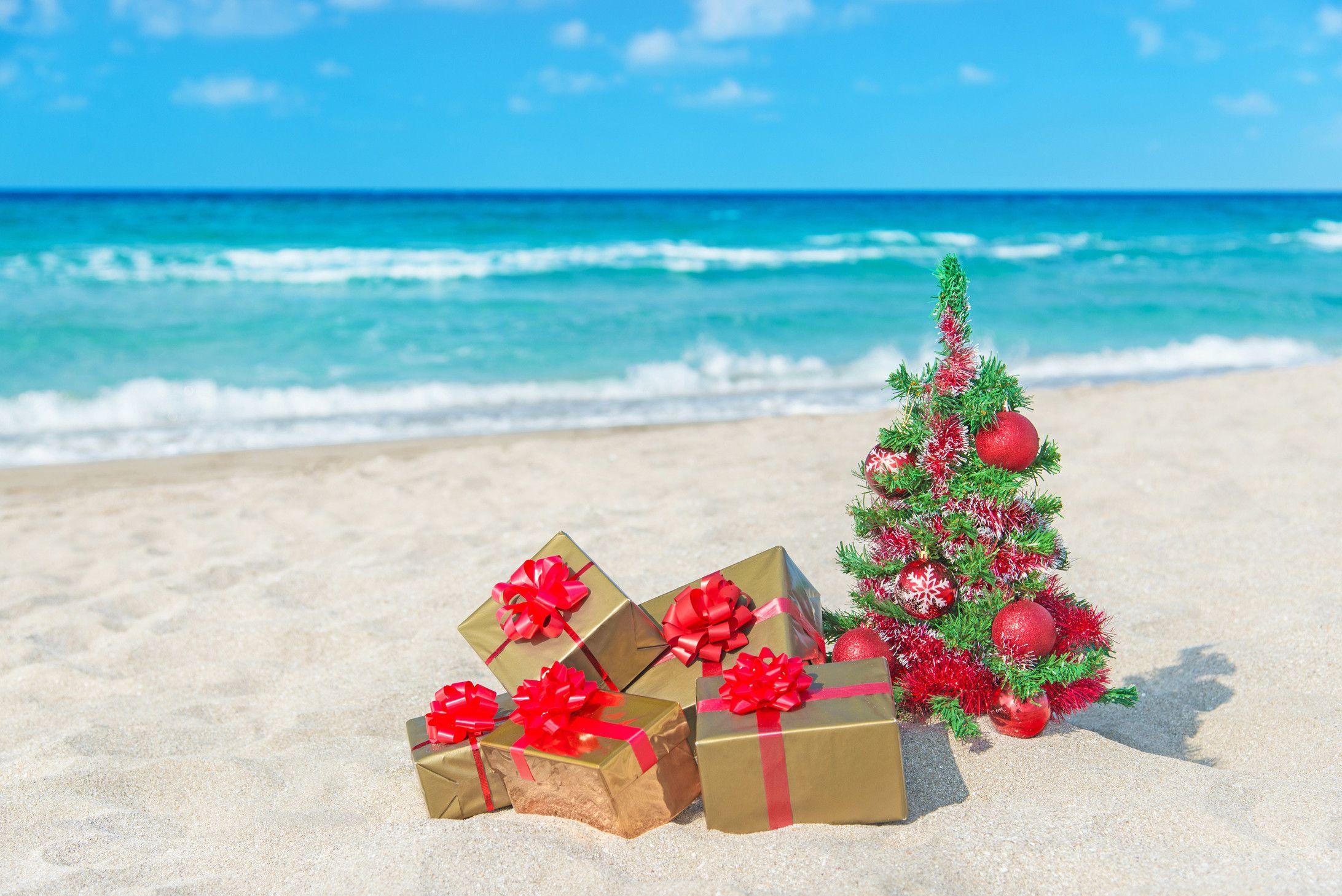 Download Christmas Beach Wallpapers Top Free Christmas Beach Backgrounds Wallpaperaccess PSD Mockup Templates