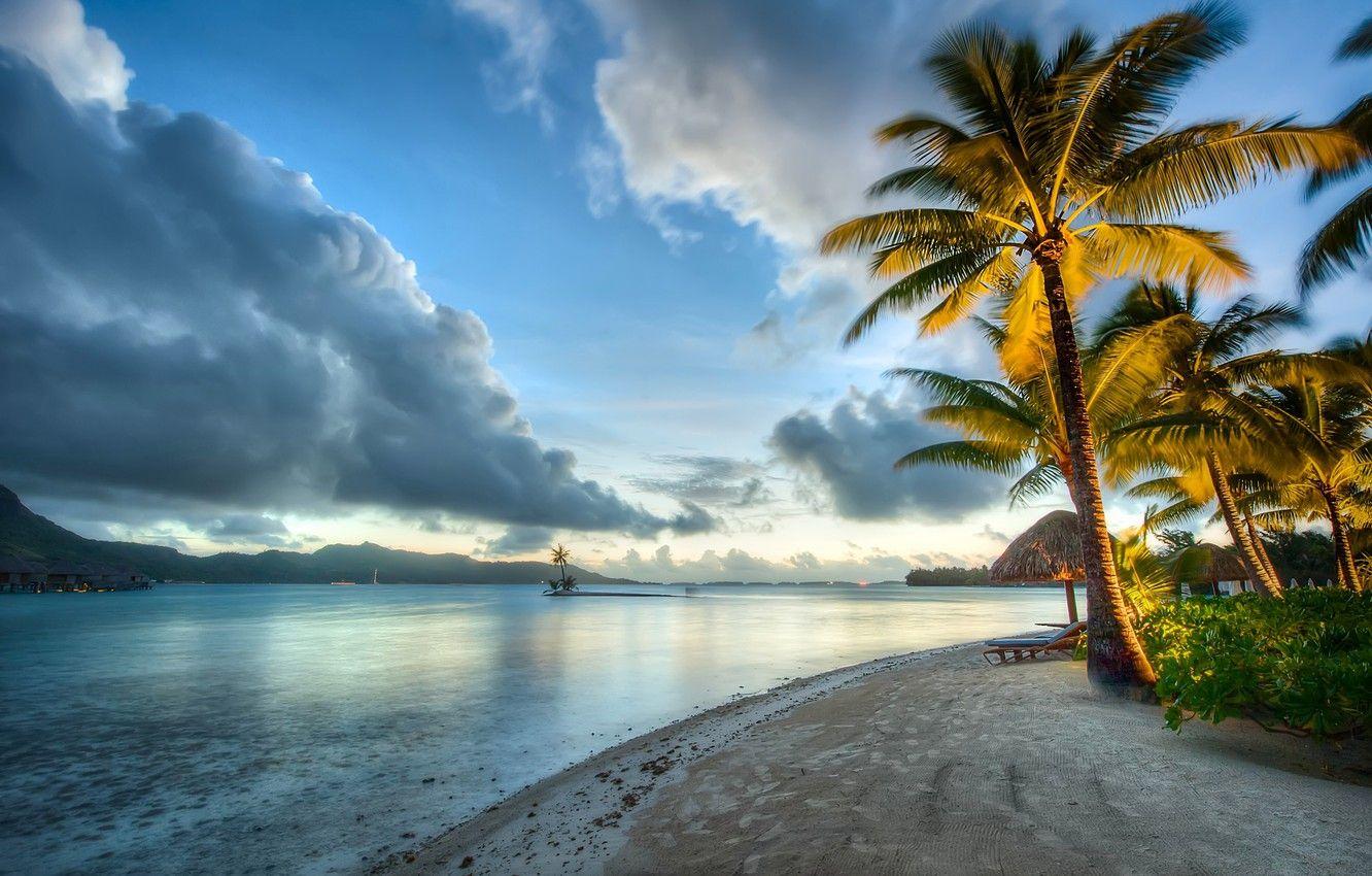 1332x850 Wallpaper beach, tropics, palm trees .