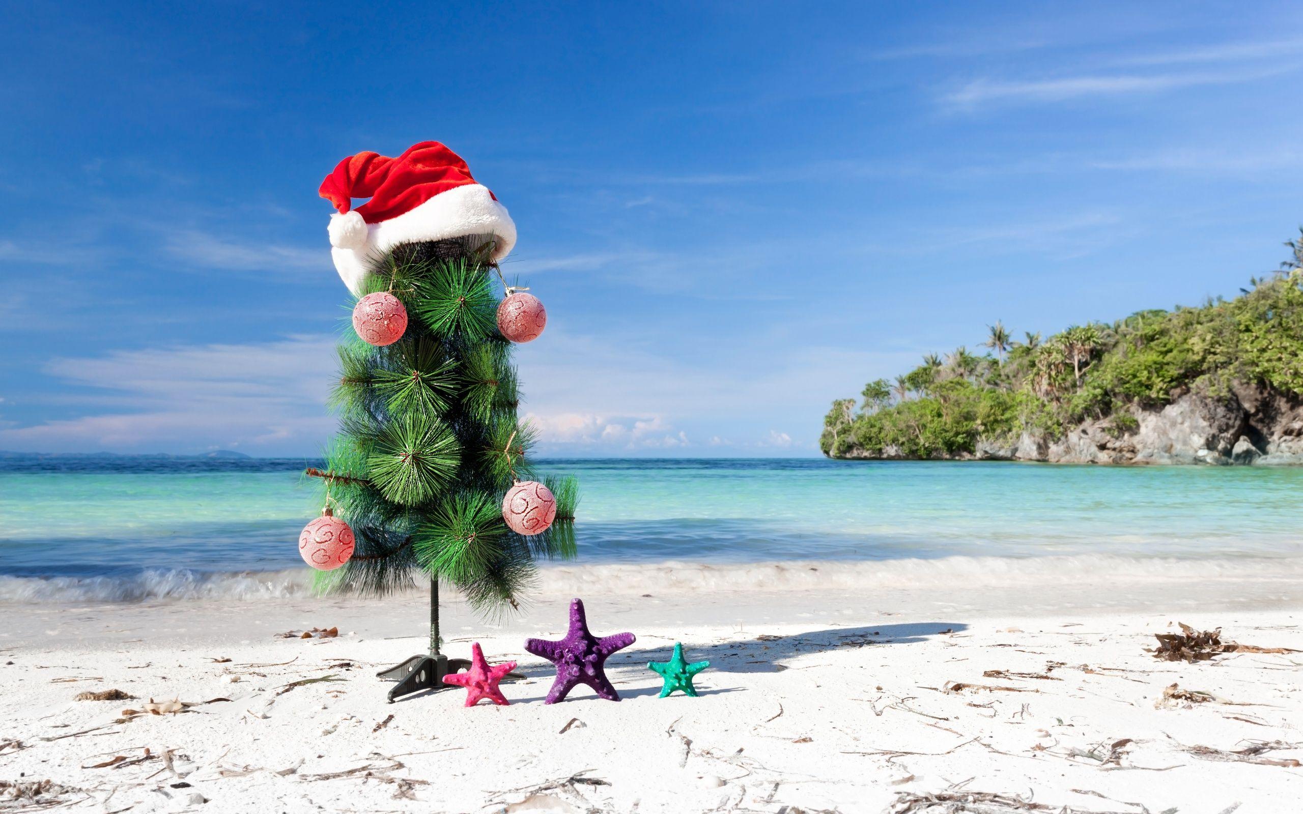 Tropical Christmas Wallpapers - Top Free Tropical Christmas Backgrounds - WallpaperAccess