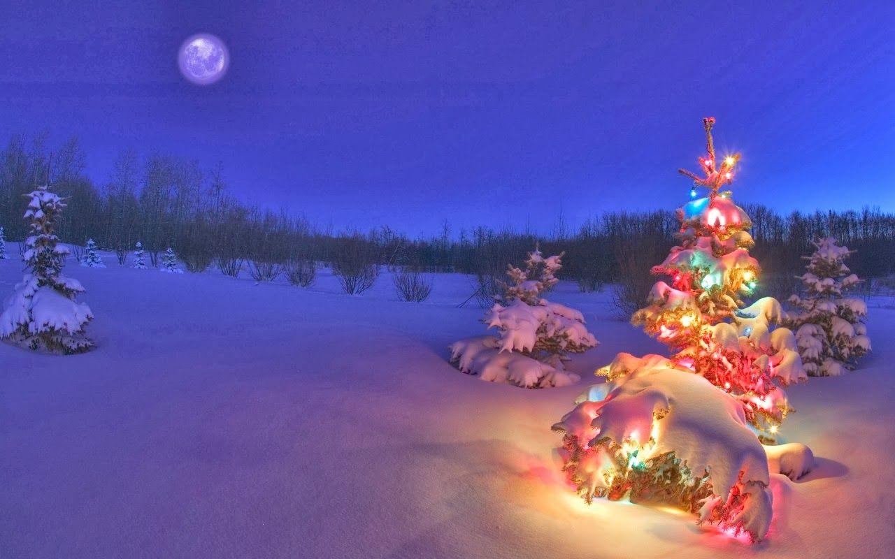 1280x800 Free download Desktop Background 4U Christmas Scenes 1280x800