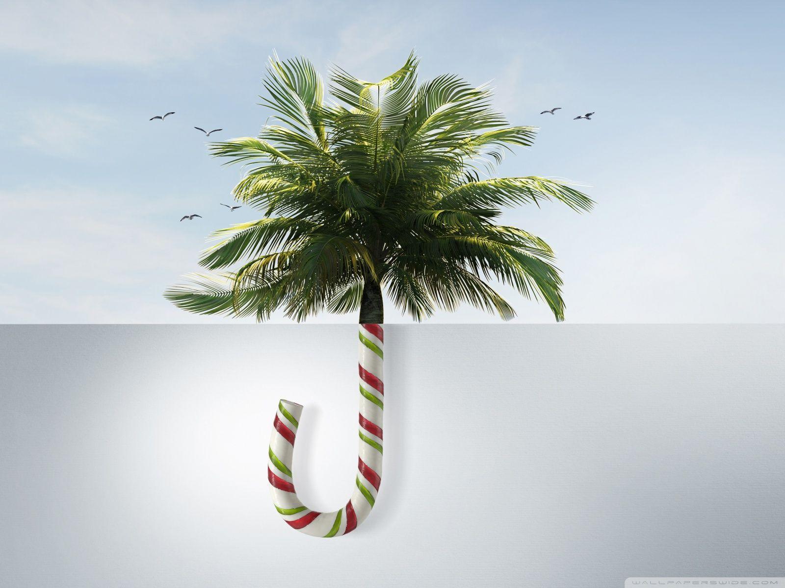 1600x1200 Tropical Christmas Ultra HD Desktop Background Wallpaper for 4K