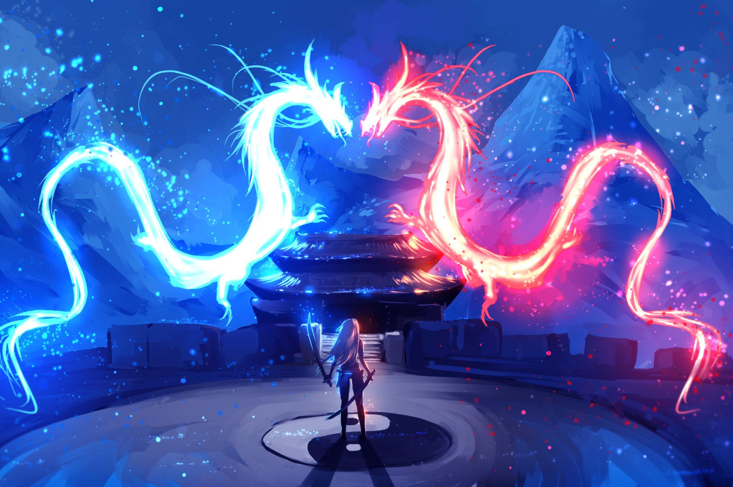 2560x1700 Twin Dragons Warrior Girl Artwork Chromebook Pixel HD 4k