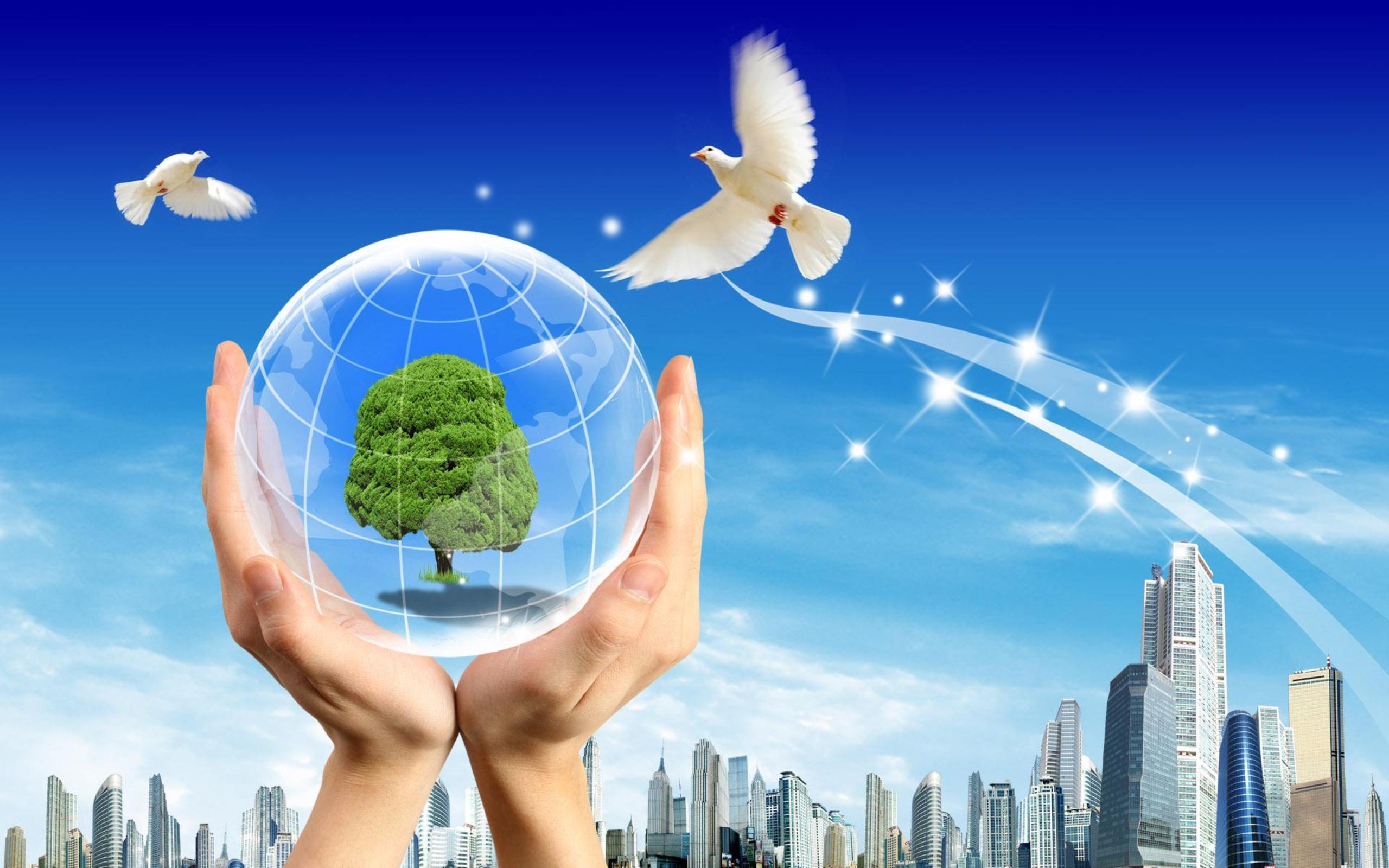 2560x1600 Environmental Wallpaper HD