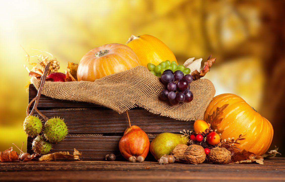 Autumn Fruit Wallpapers - Top Free Autumn Fruit Backgrounds ...