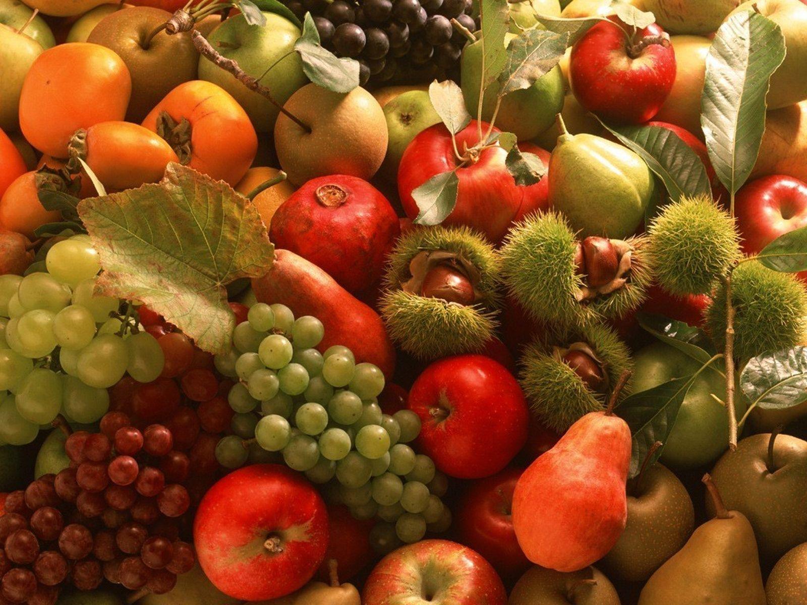 1600x1200 Download Autumn Fruits Wallpaper 1600x1200