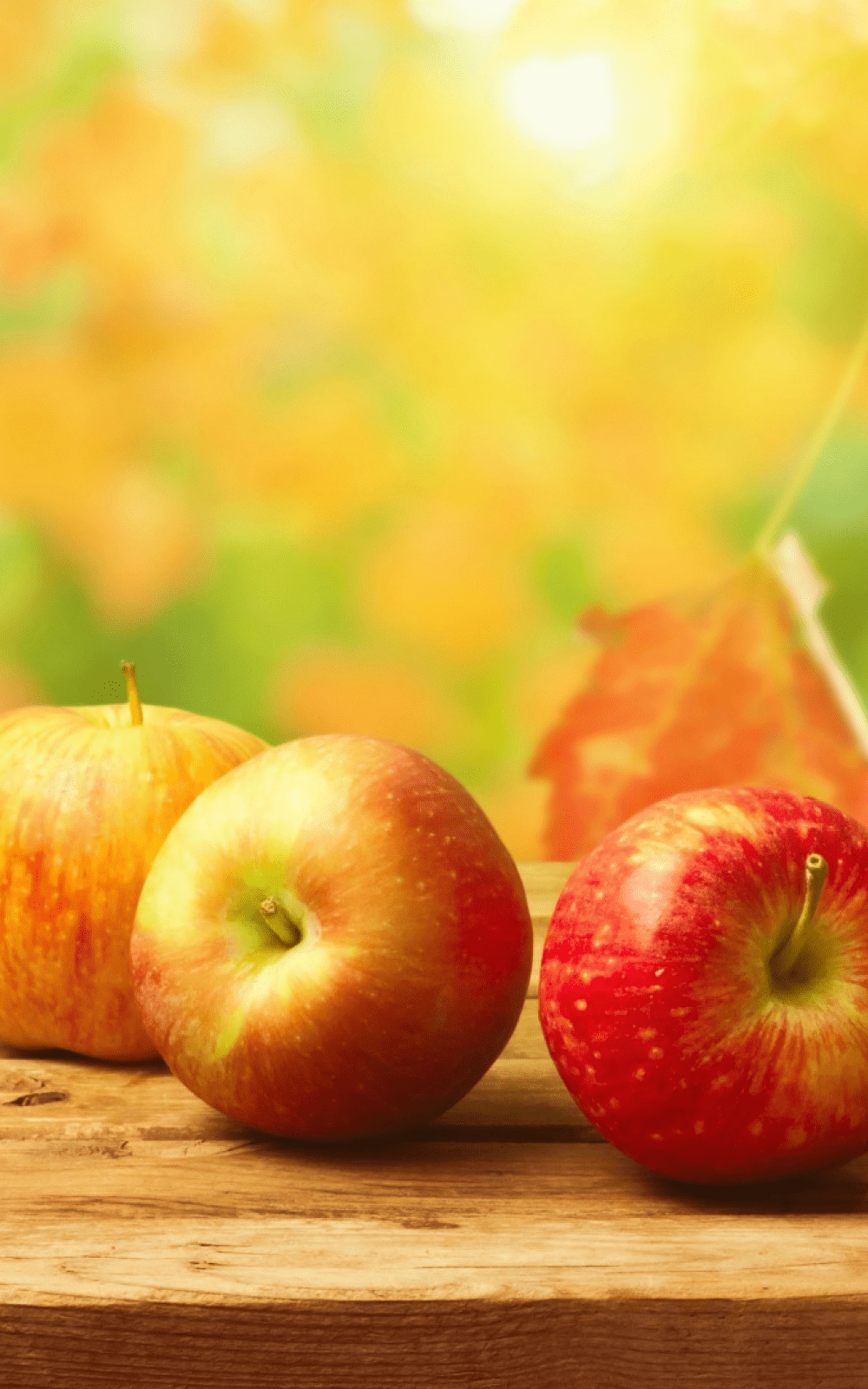 Autumn Apple Wallpapers Top Free Autumn Apple Backgrounds Wallpaperaccess 