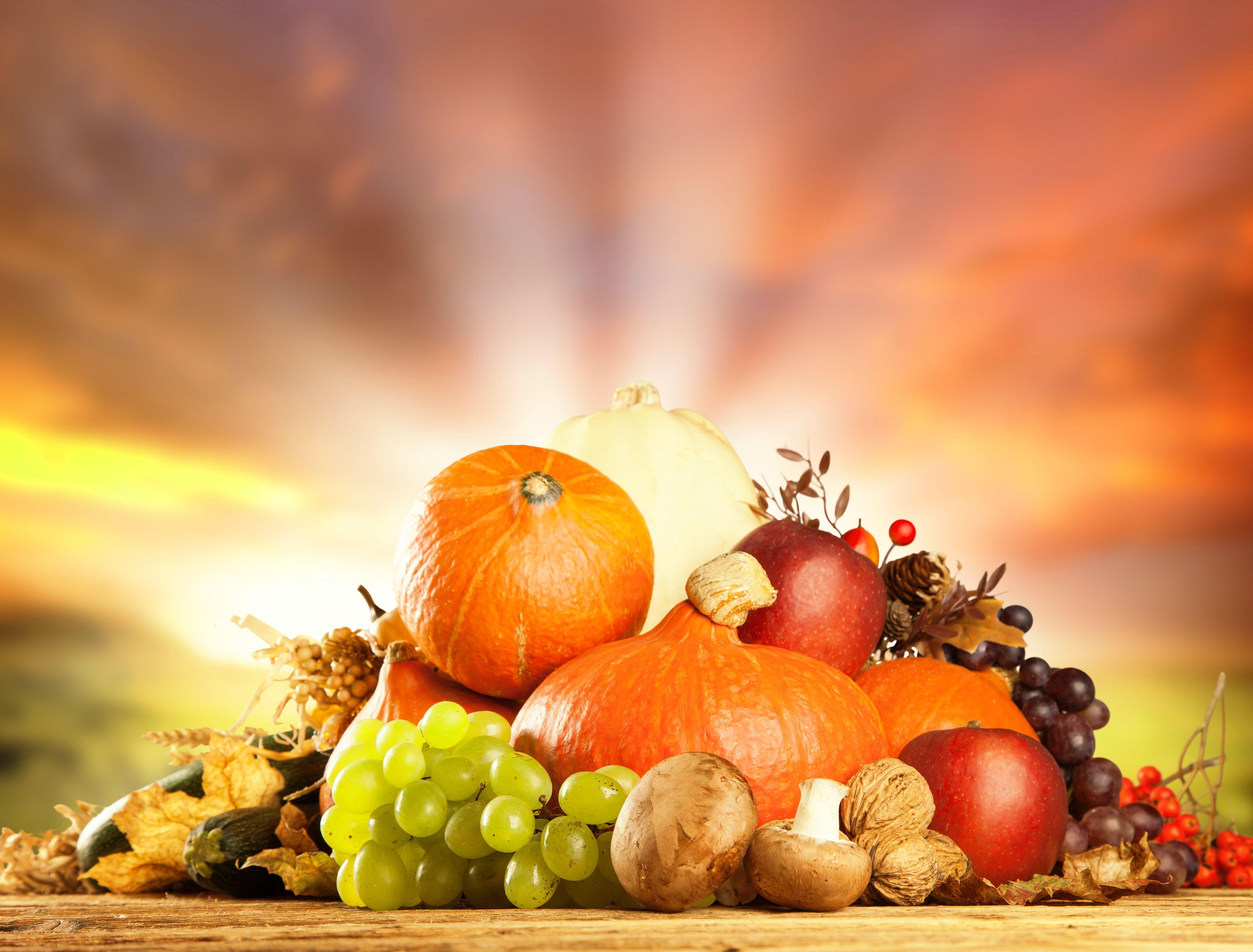 4000x3039 Autumn Fruits Background Quality
