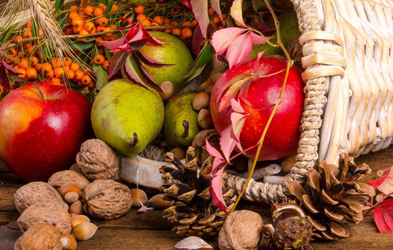 1332x850 Wallpaper fruit, nuts, basket, bumps, Rowan, the gifts of autumn