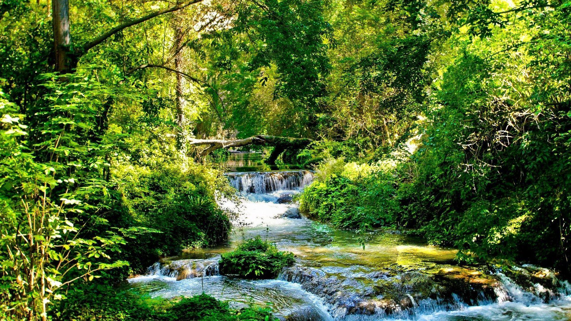 1920x1080 Download wallpaper 1920x1080 stream, river, streams, green, wood