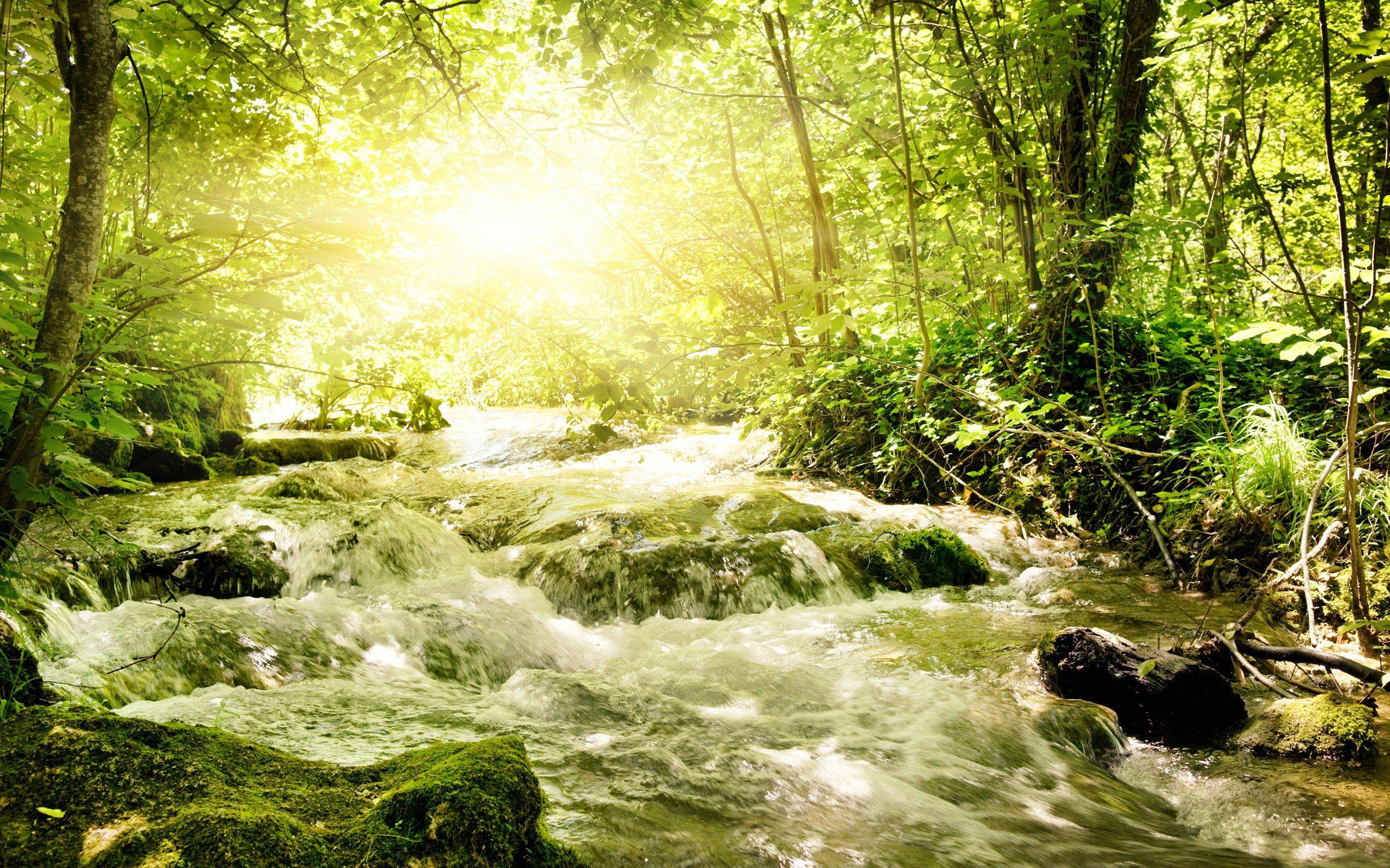 2560x1600 Beautiful HD Stream Wallpaper