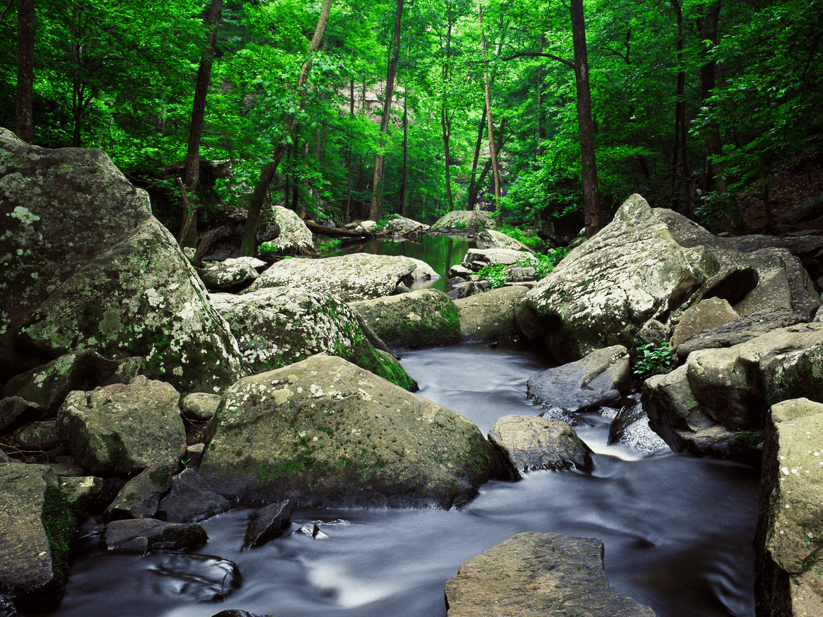 1600x1200 Cool Mountain Stream wallpaperx1200