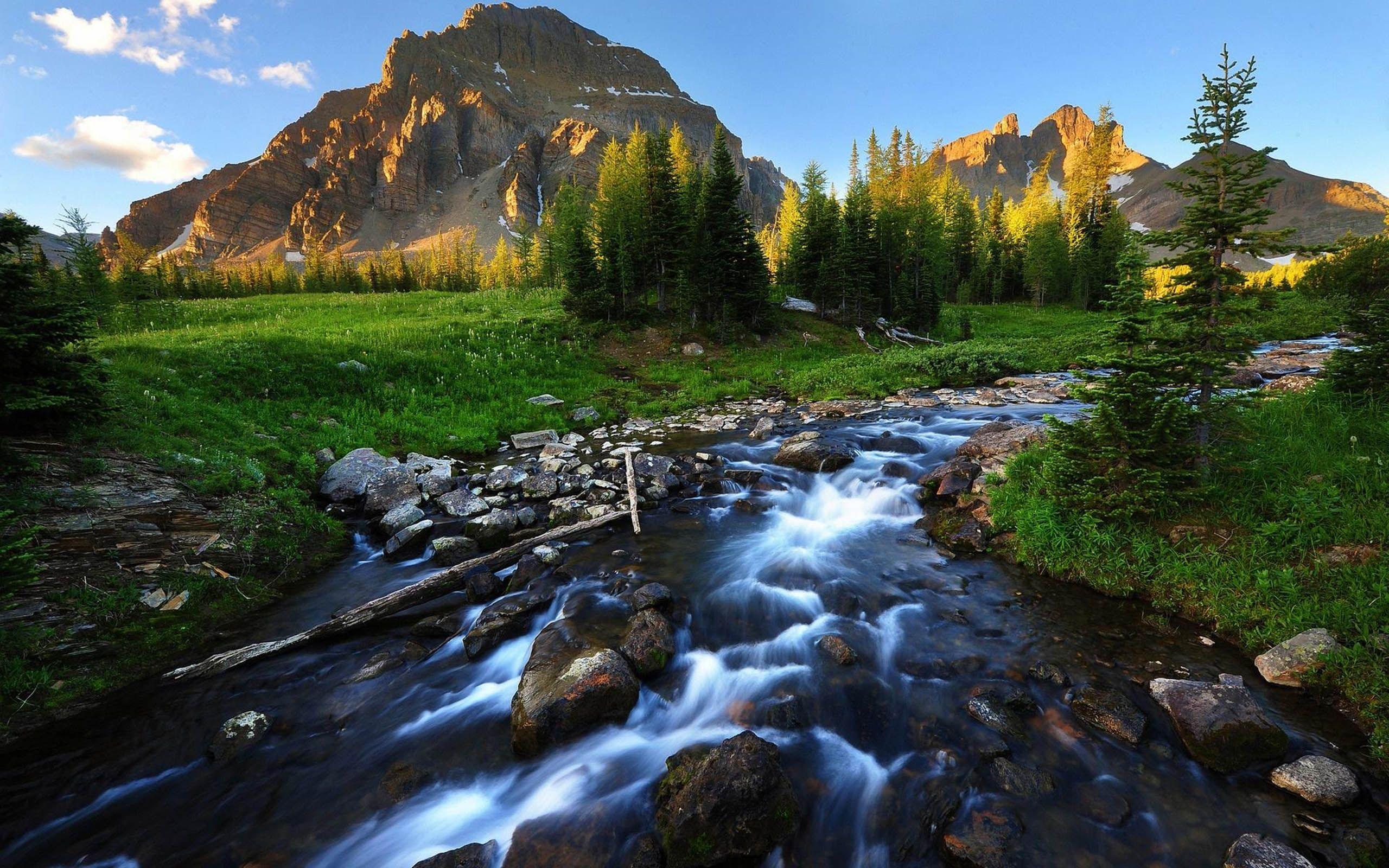 2560x1600 River Stream Background Wallpaper 03735 :