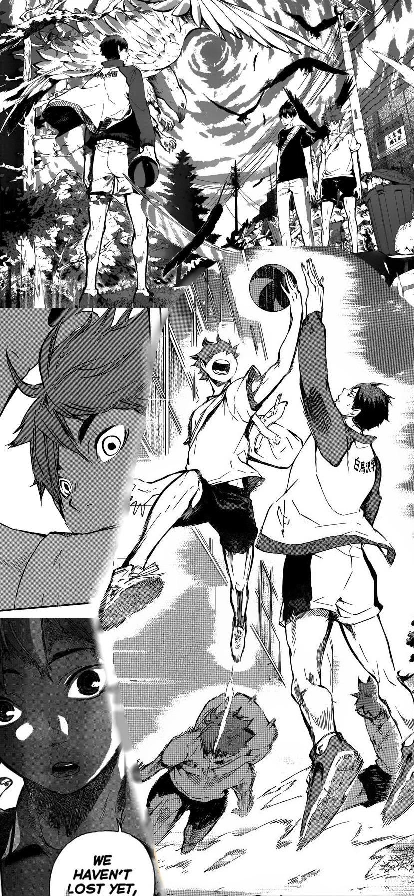 Pin by Alexandra on Manga  Haikyuu, Haikyuu manga, Manga