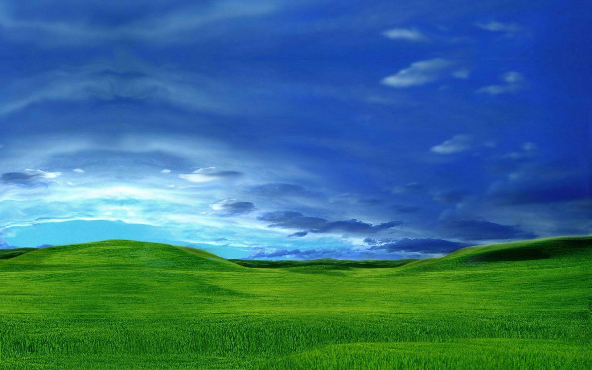 Картинка с windows xp