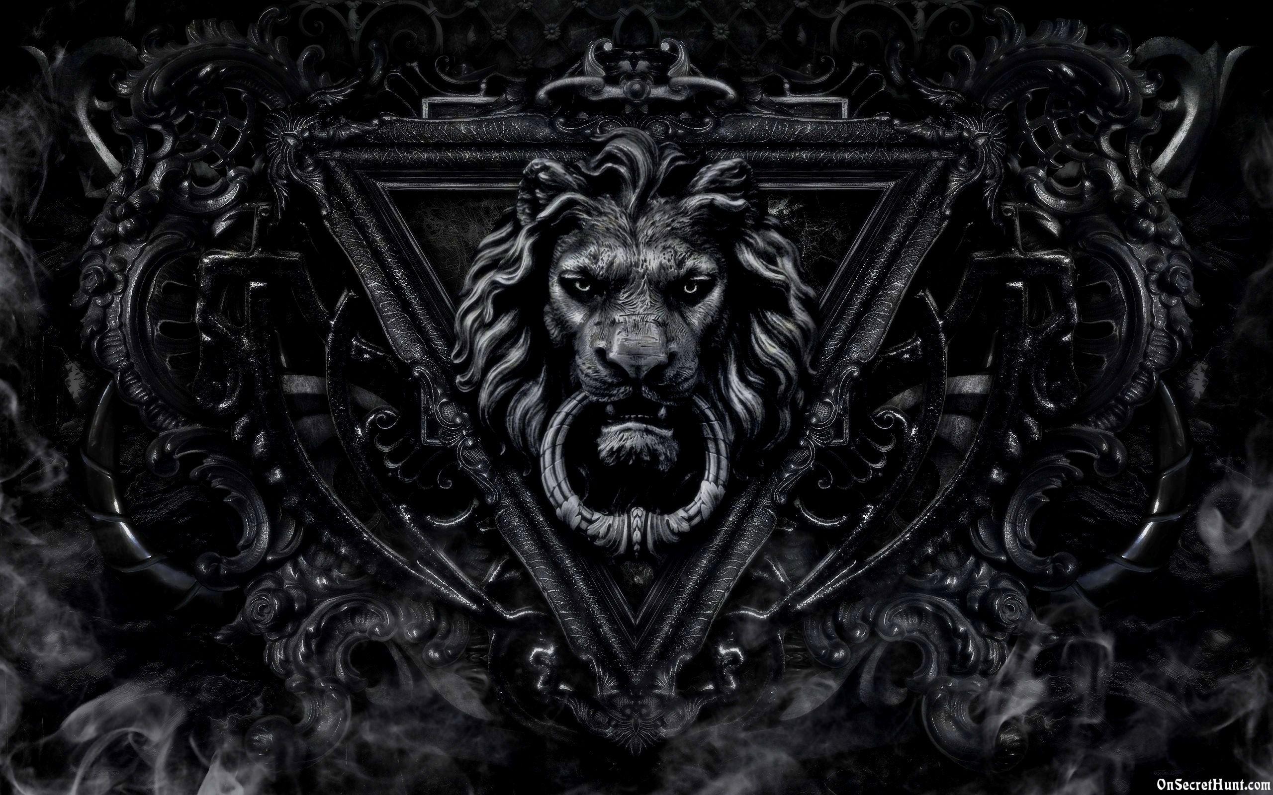 2560x1600 Black Lion Wallpaper