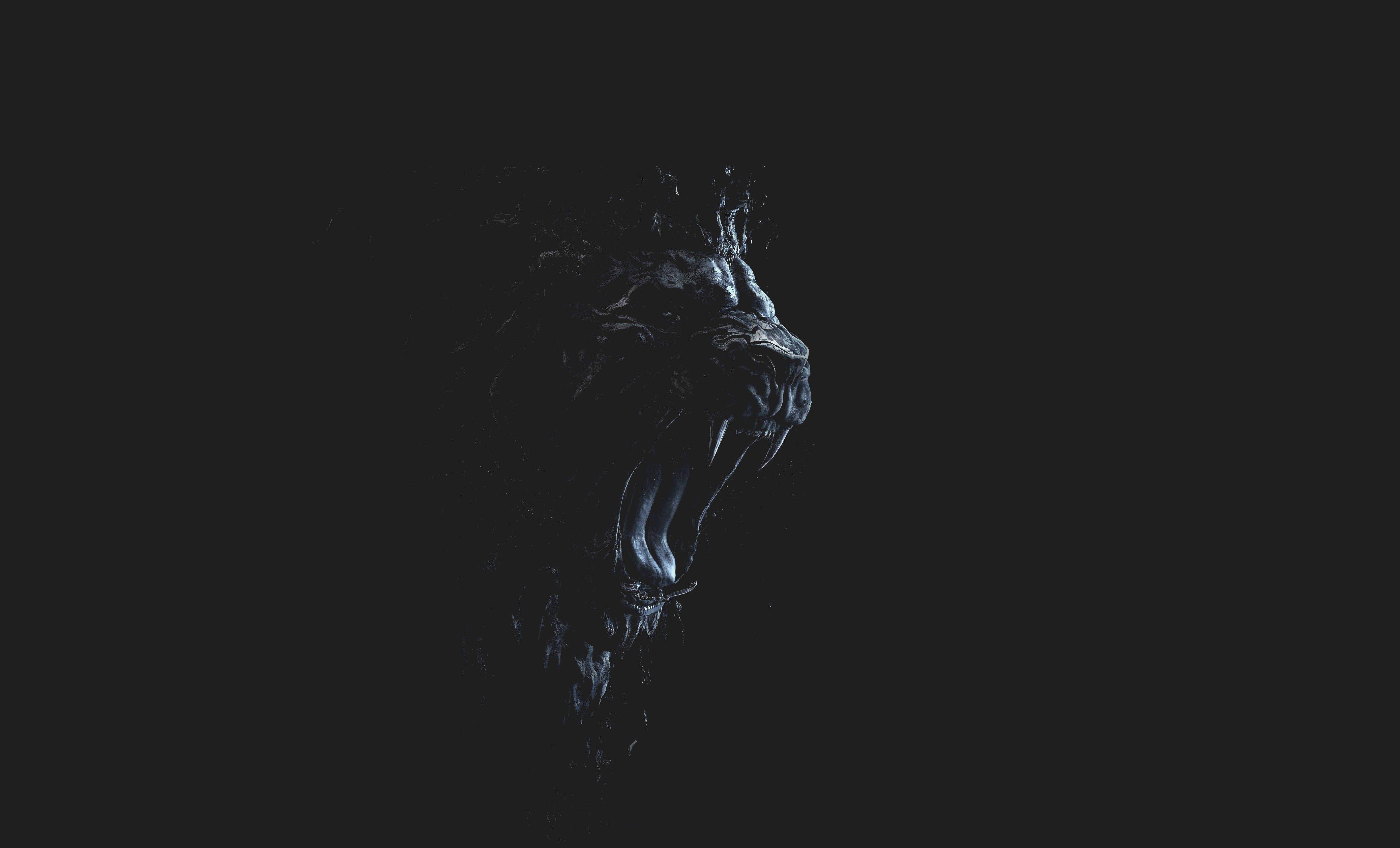 Black Lion 4K Wallpapers - Top Free Black Lion 4K Backgrounds