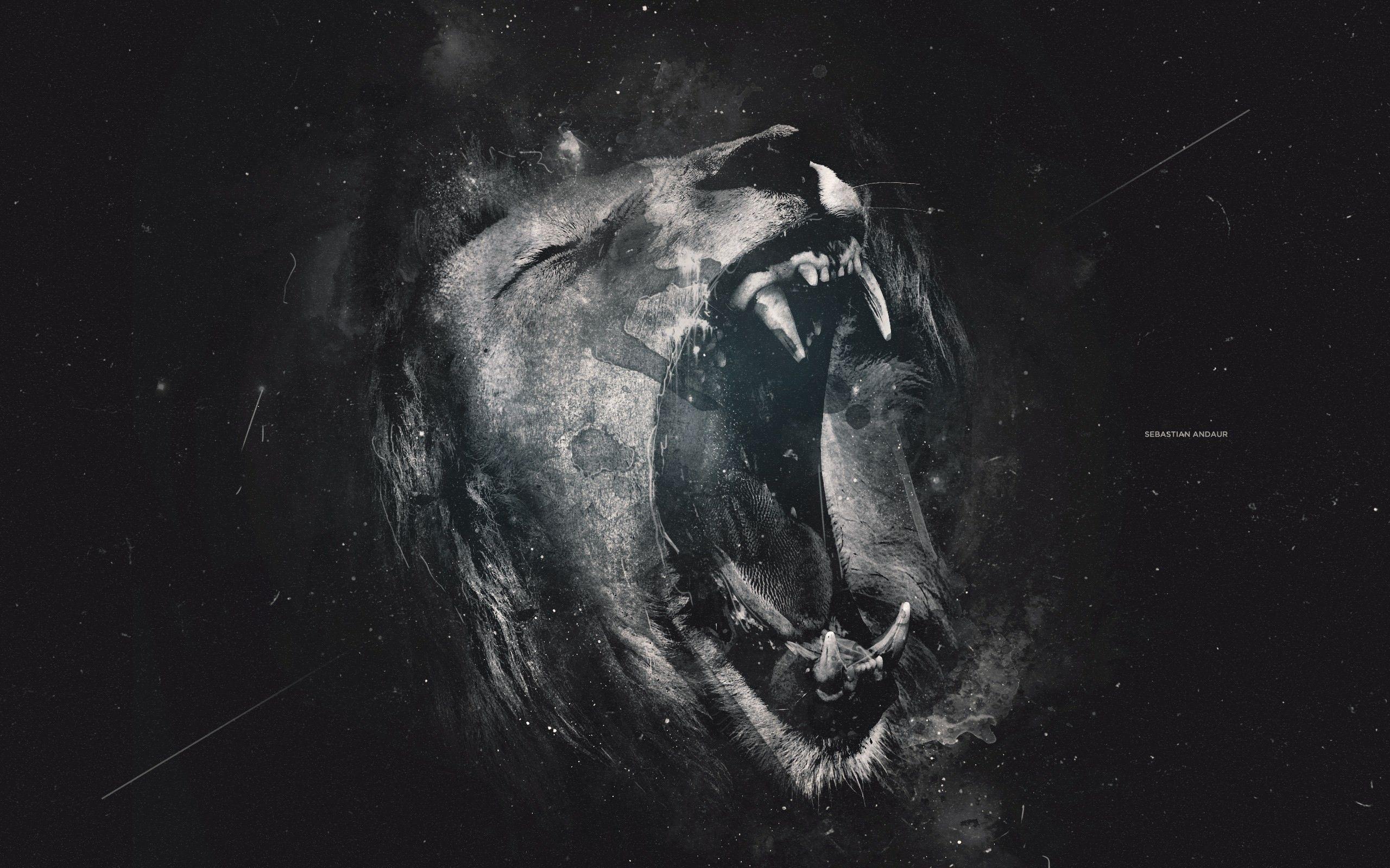 2560x1600 Best Black Lion Background in 4K Ultra HD