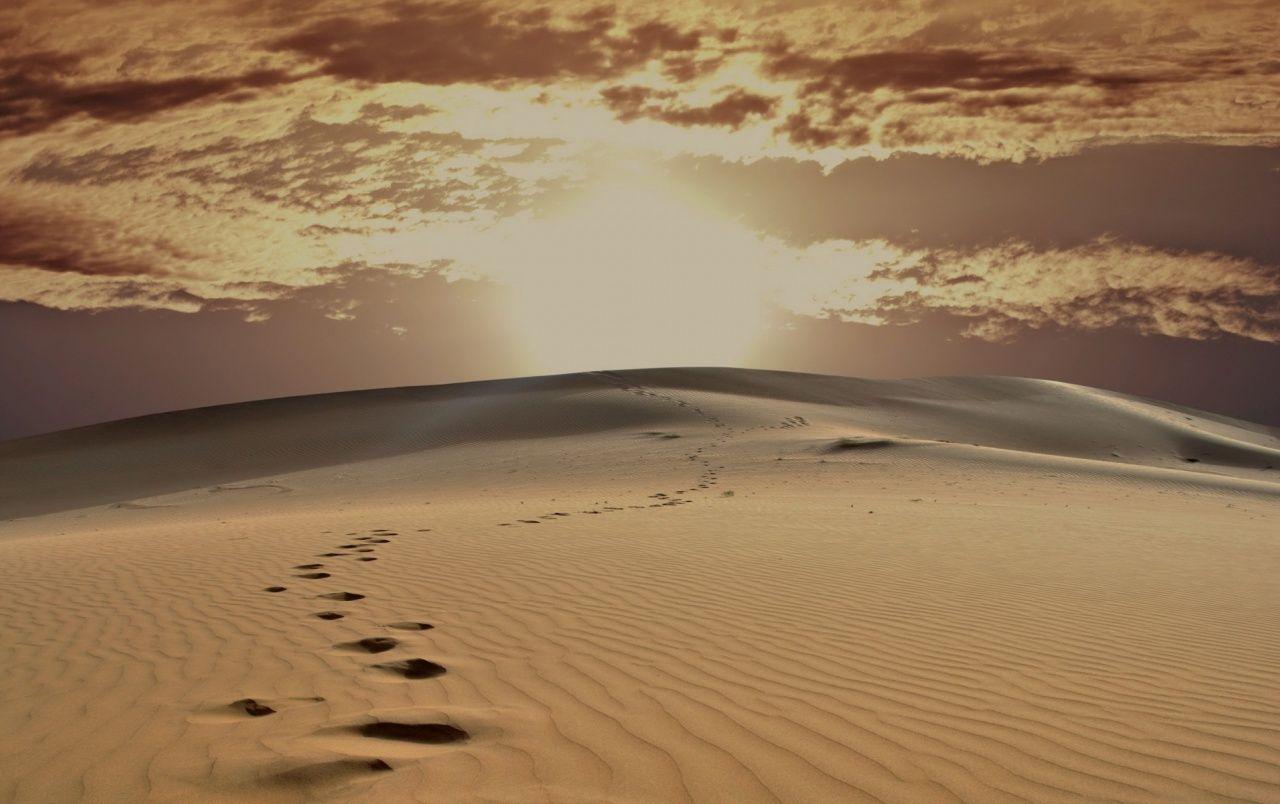 1280x804 Desert Jaisalmer India wallpaper. Desert Jaisalmer India stock
