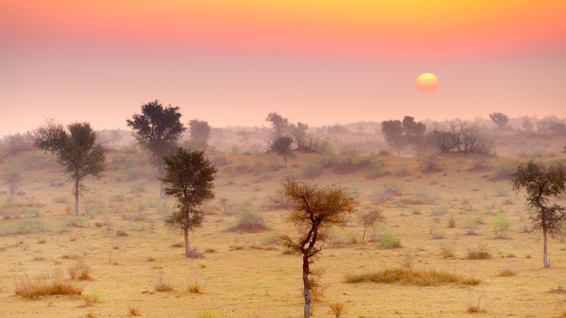 1920x1080 Thar Desert near Jaisalmer, Rajasthan, India Wallpaper