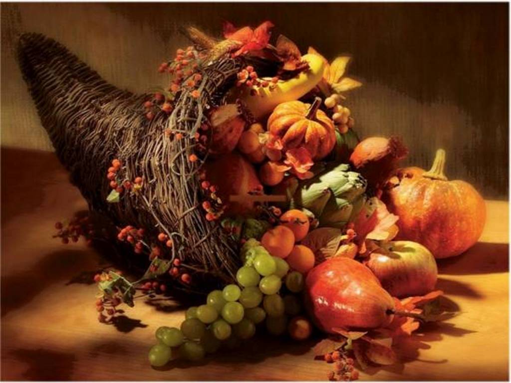 Cornucopia Wallpapers - Top Free Cornucopia Backgrounds - WallpaperAccess
