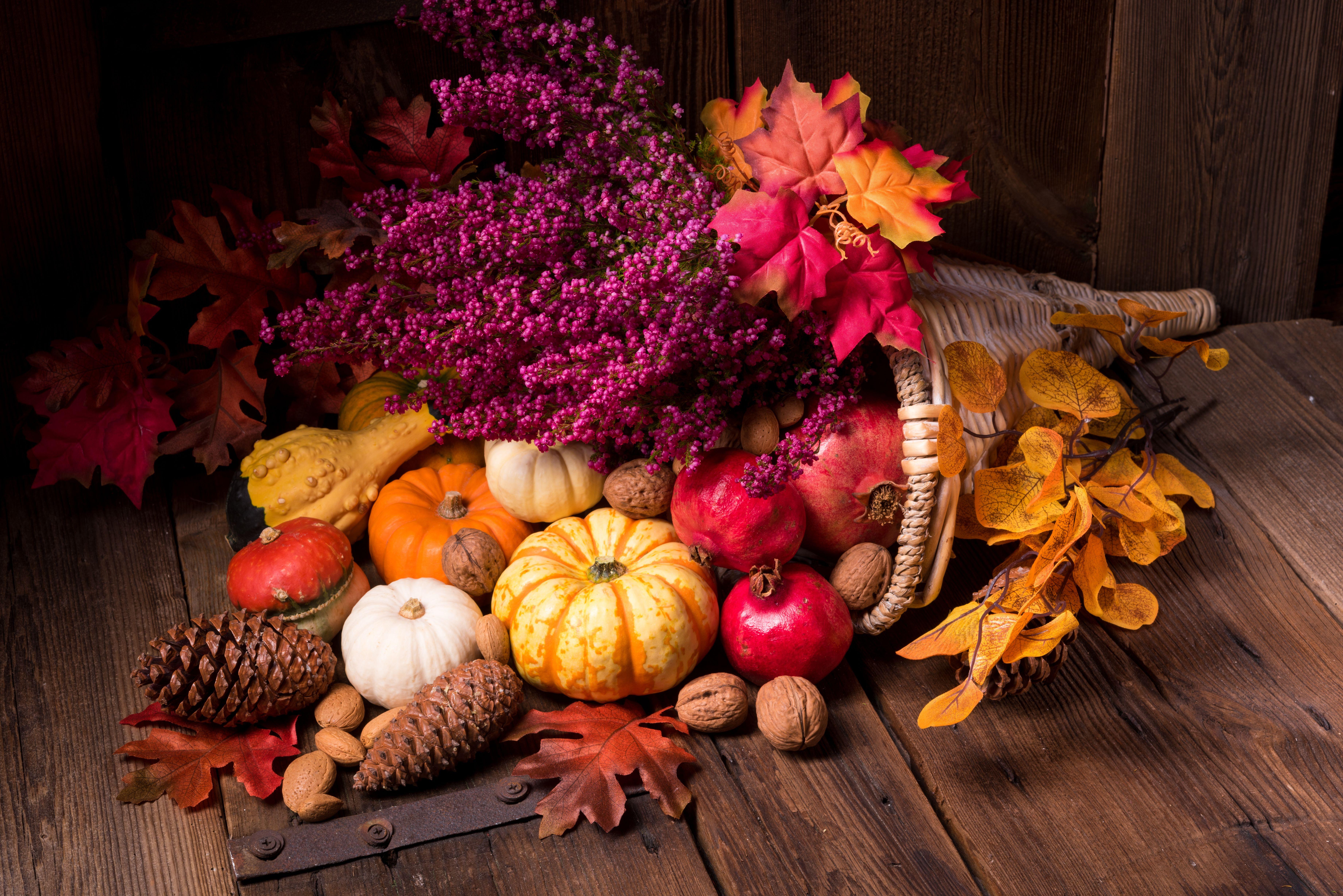 Cornucopia Wallpapers - Top Free Cornucopia Backgrounds - WallpaperAccess