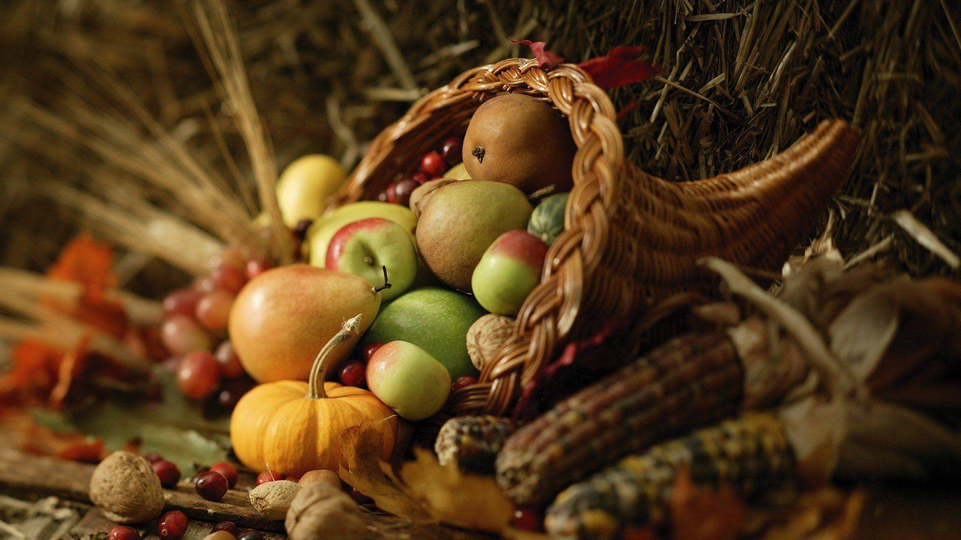 Cornucopia Wallpapers - Top Free Cornucopia Backgrounds - WallpaperAccess