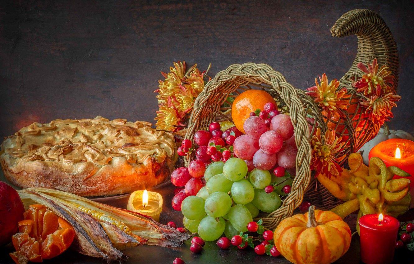 Cornucopia Wallpapers - Top Free Cornucopia Backgrounds - WallpaperAccess