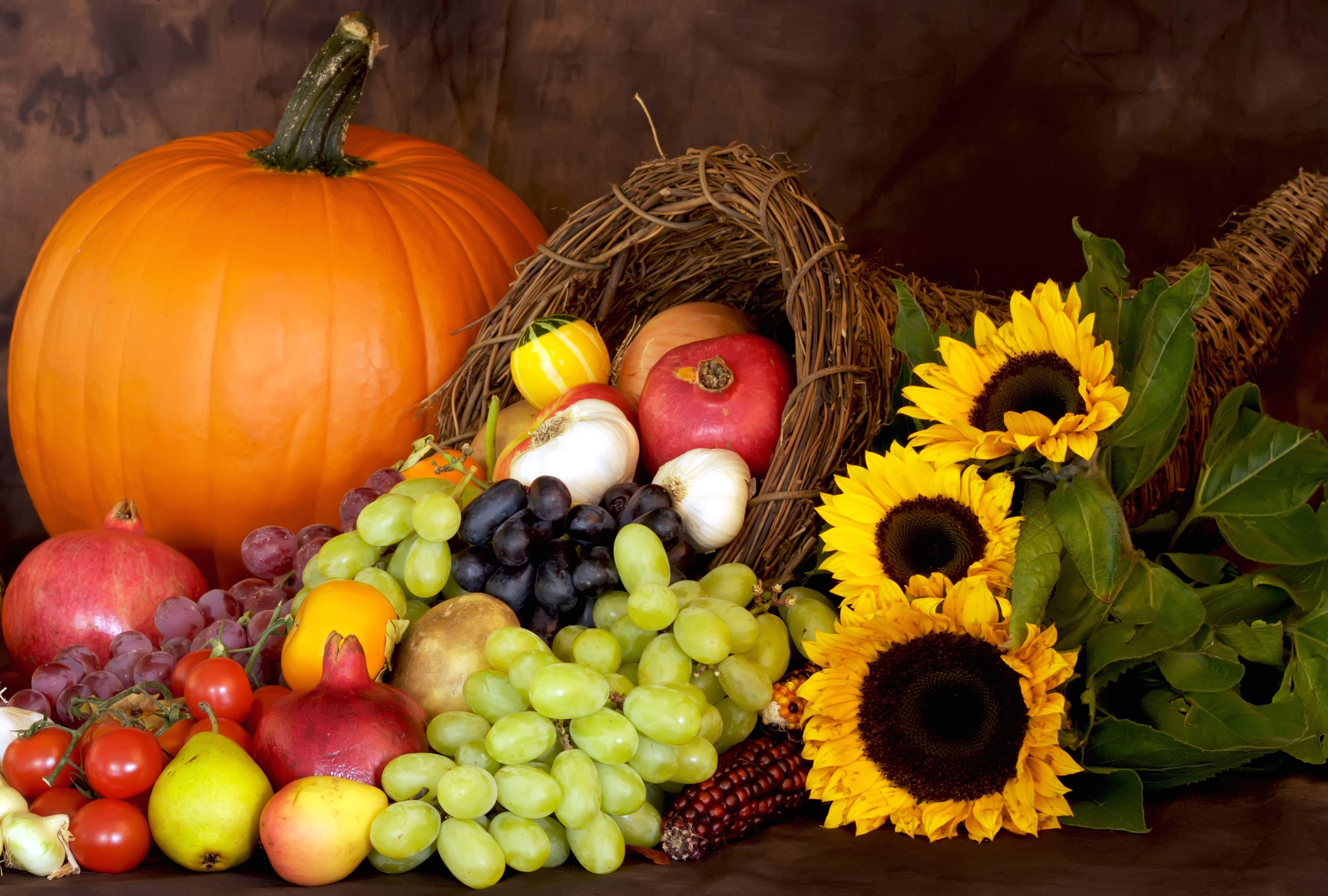 Cornucopia Wallpapers - Top Free Cornucopia Backgrounds - WallpaperAccess