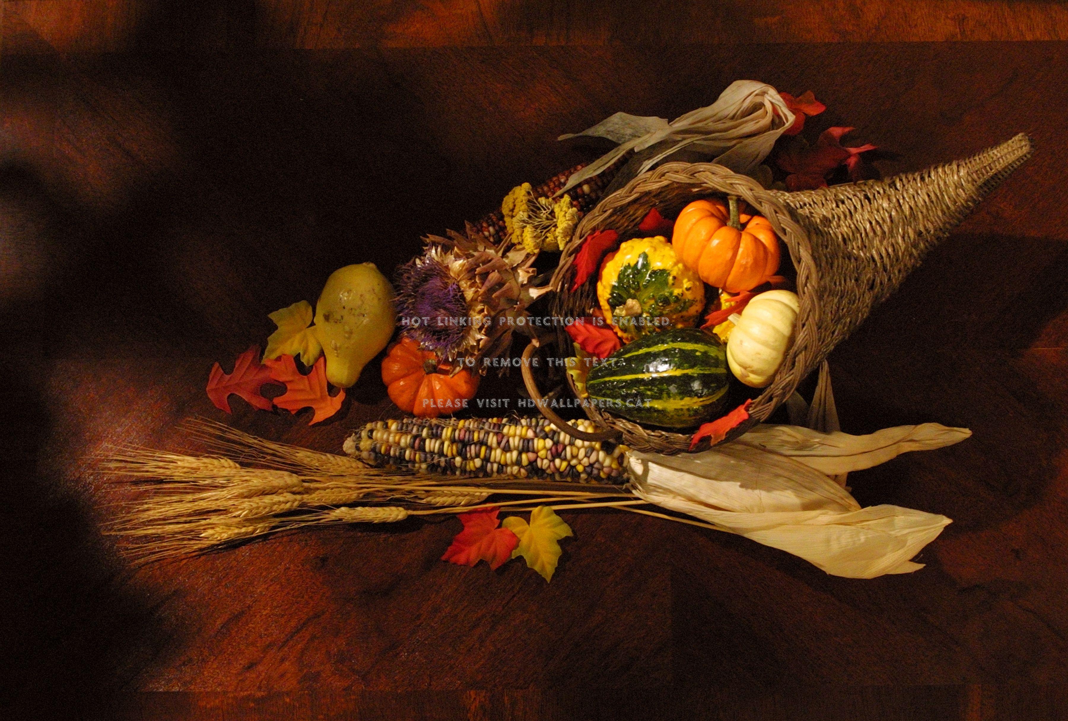 Cornucopia Wallpapers - Top Free Cornucopia Backgrounds - WallpaperAccess