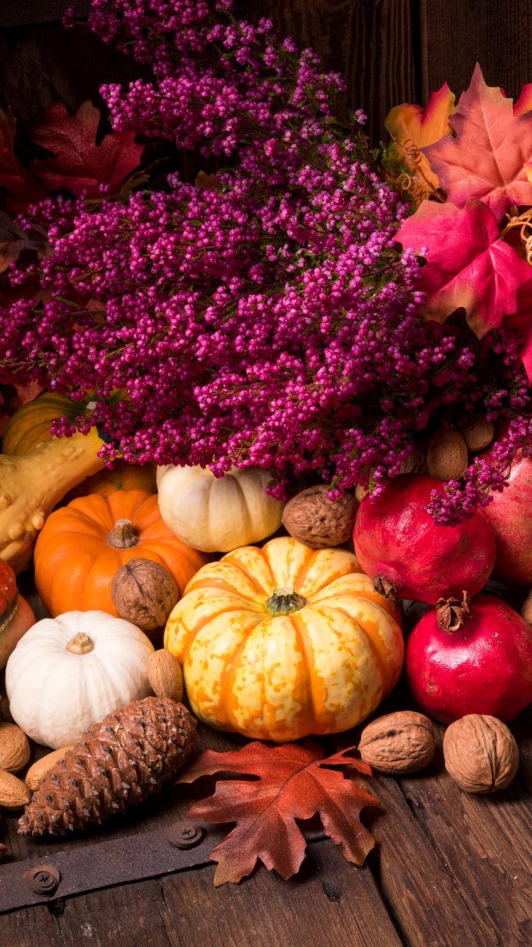 Cornucopia Wallpapers - Top Free Cornucopia Backgrounds - WallpaperAccess